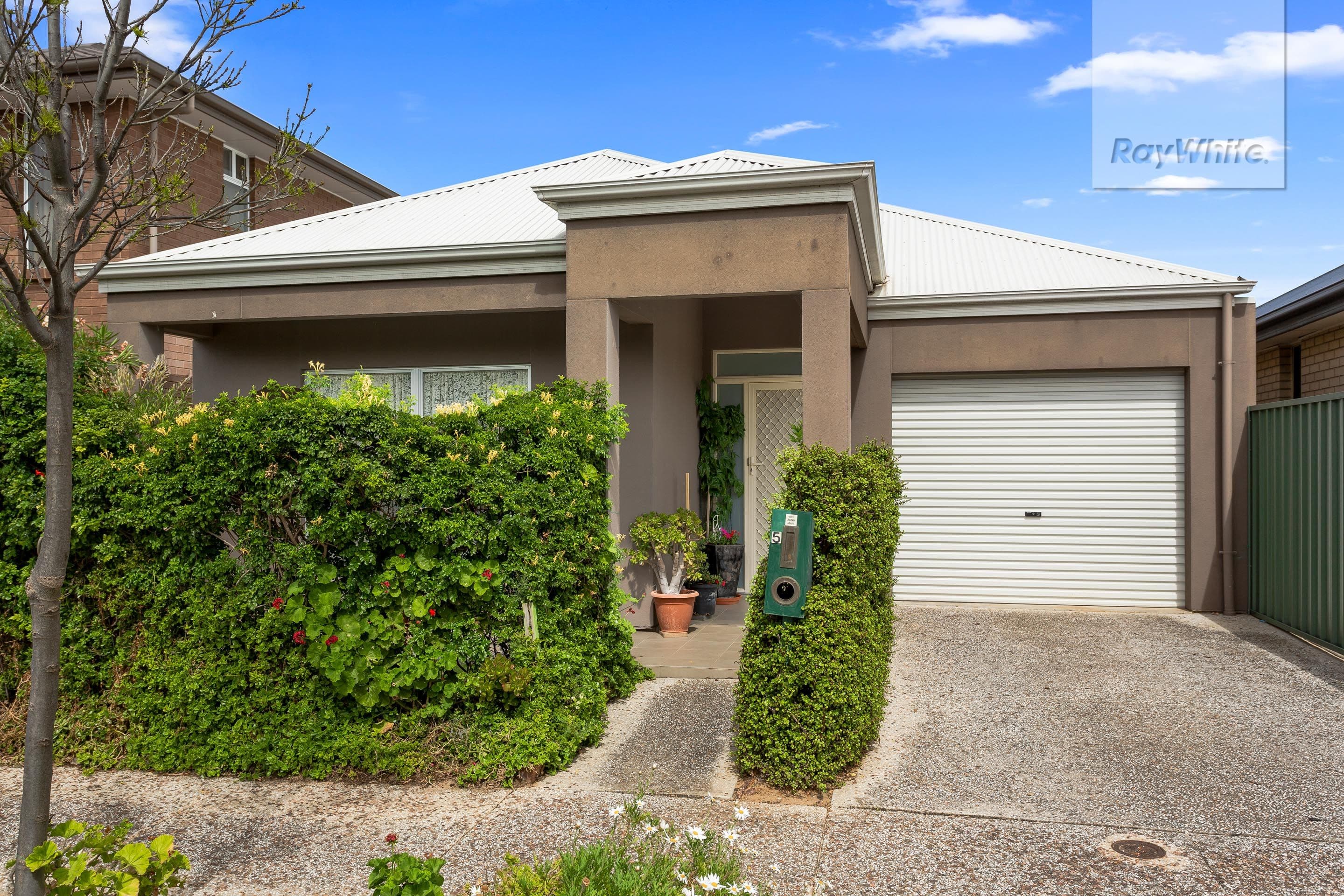 5 Caswell Circuit, Mawson Lakes SA 5095, Mawson Lakes - Image 1