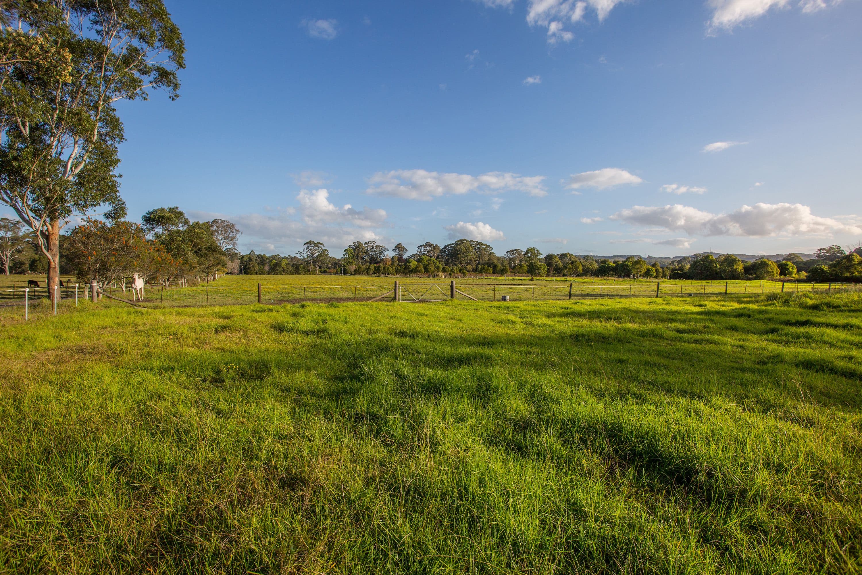35 Mardi Road, Mardi NSW 2259, Mardi - Thumbnail 4