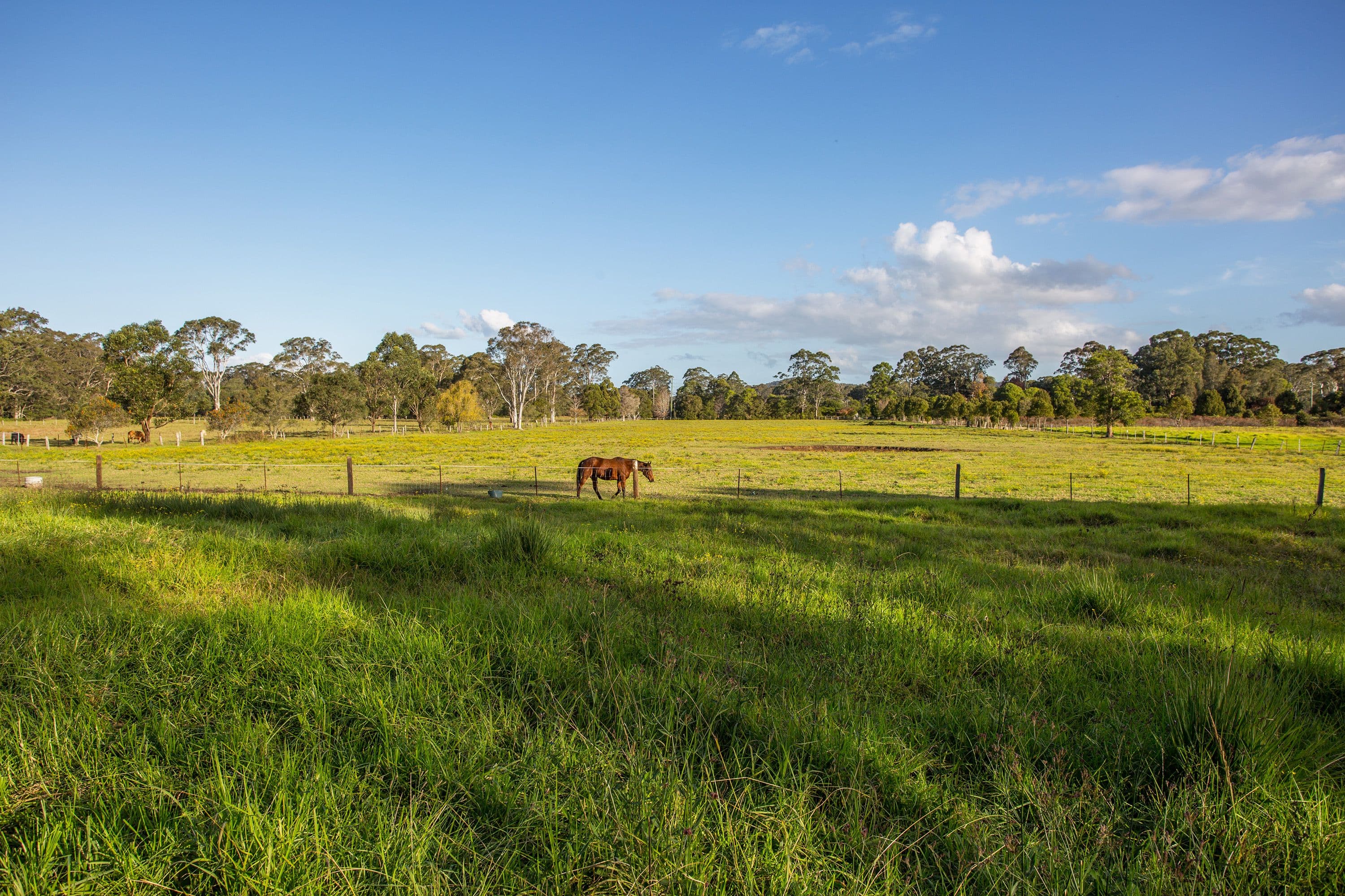 35 Mardi Road, Mardi NSW 2259, Mardi - Thumbnail 5