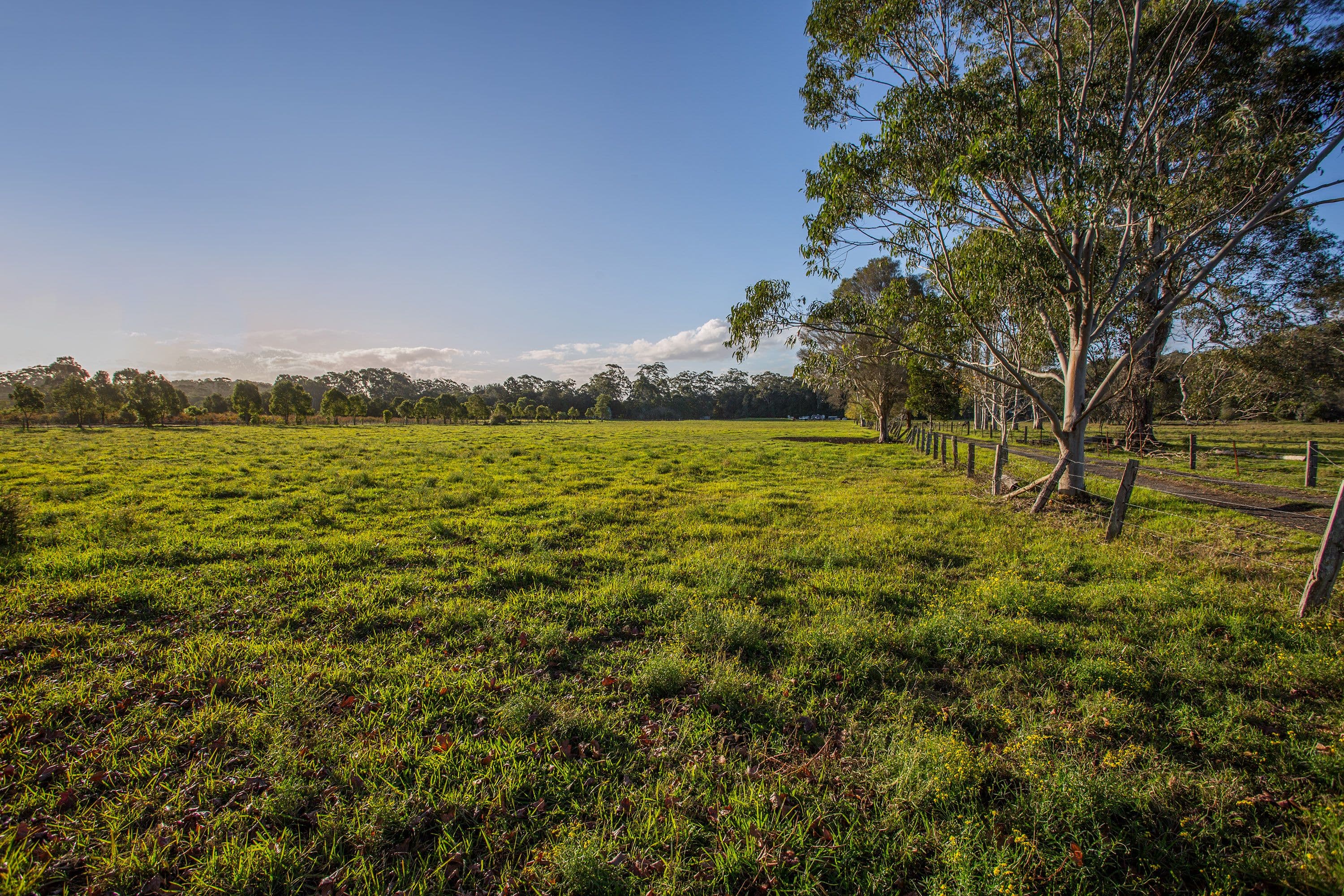 35 Mardi Road, Mardi NSW 2259, Mardi - Thumbnail 6