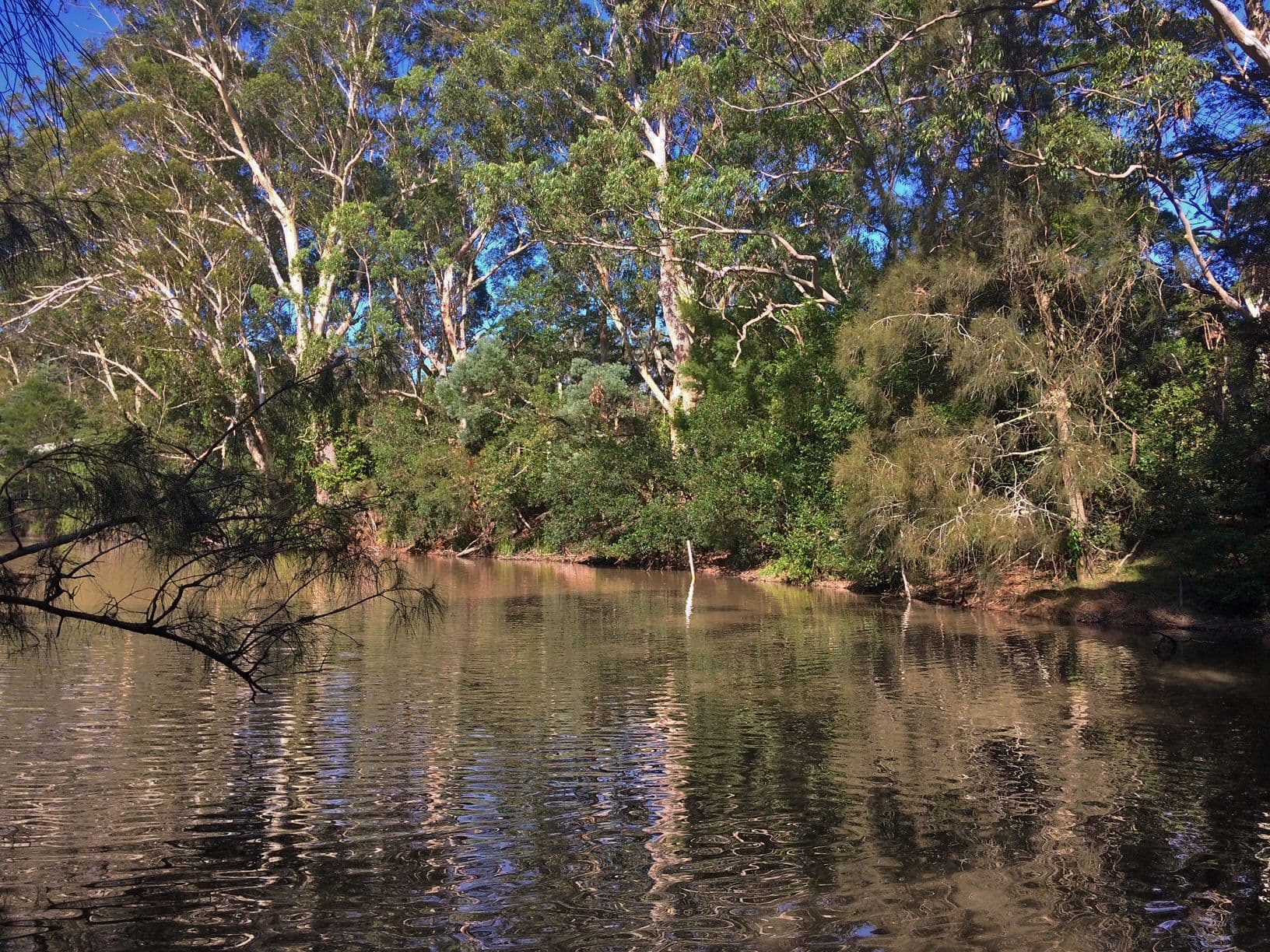 35 Mardi Road, Mardi NSW 2259, Mardi - Thumbnail 7