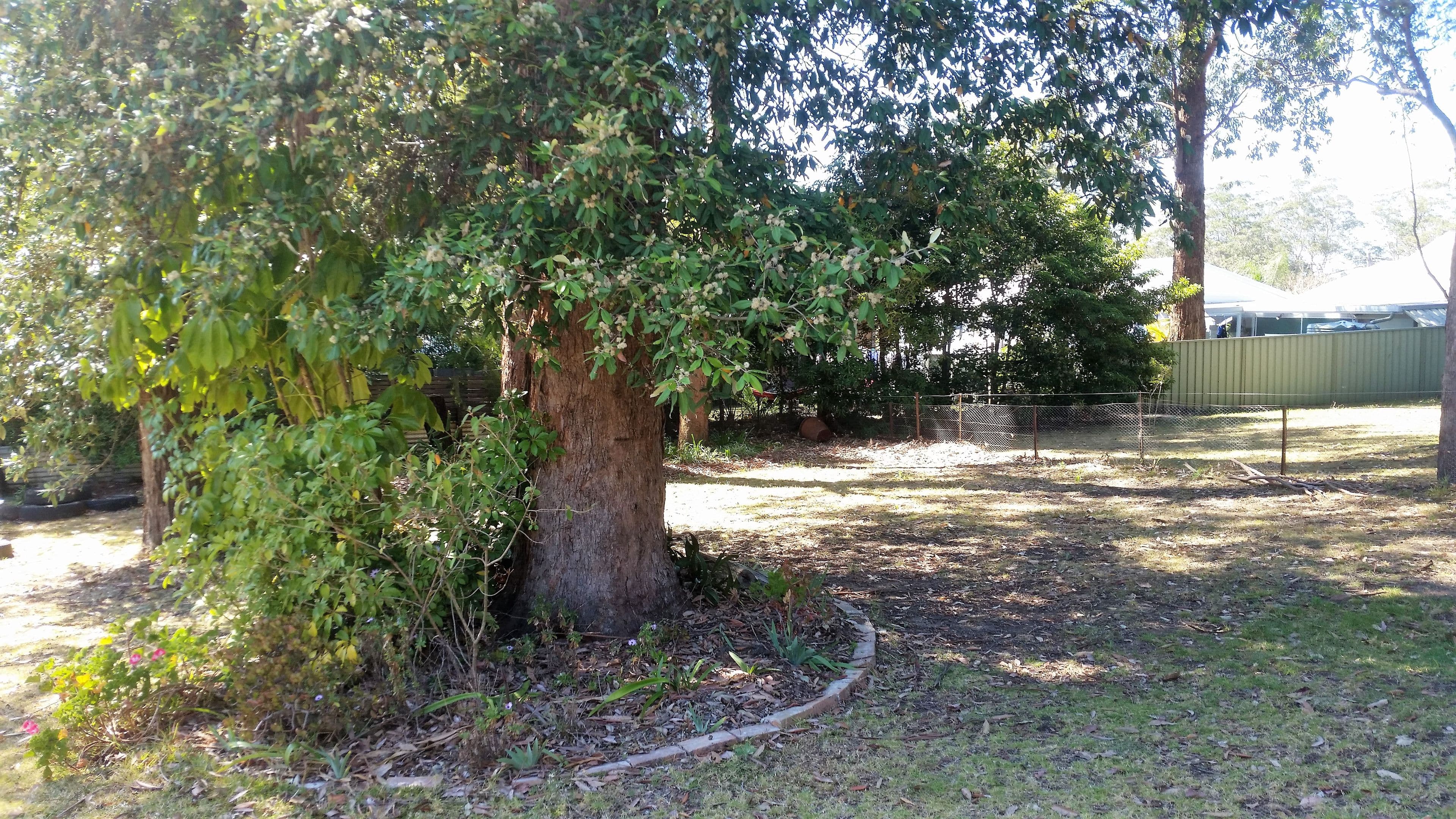 44 Wattle Street, Fishermans Paradise - Thumbnail 7