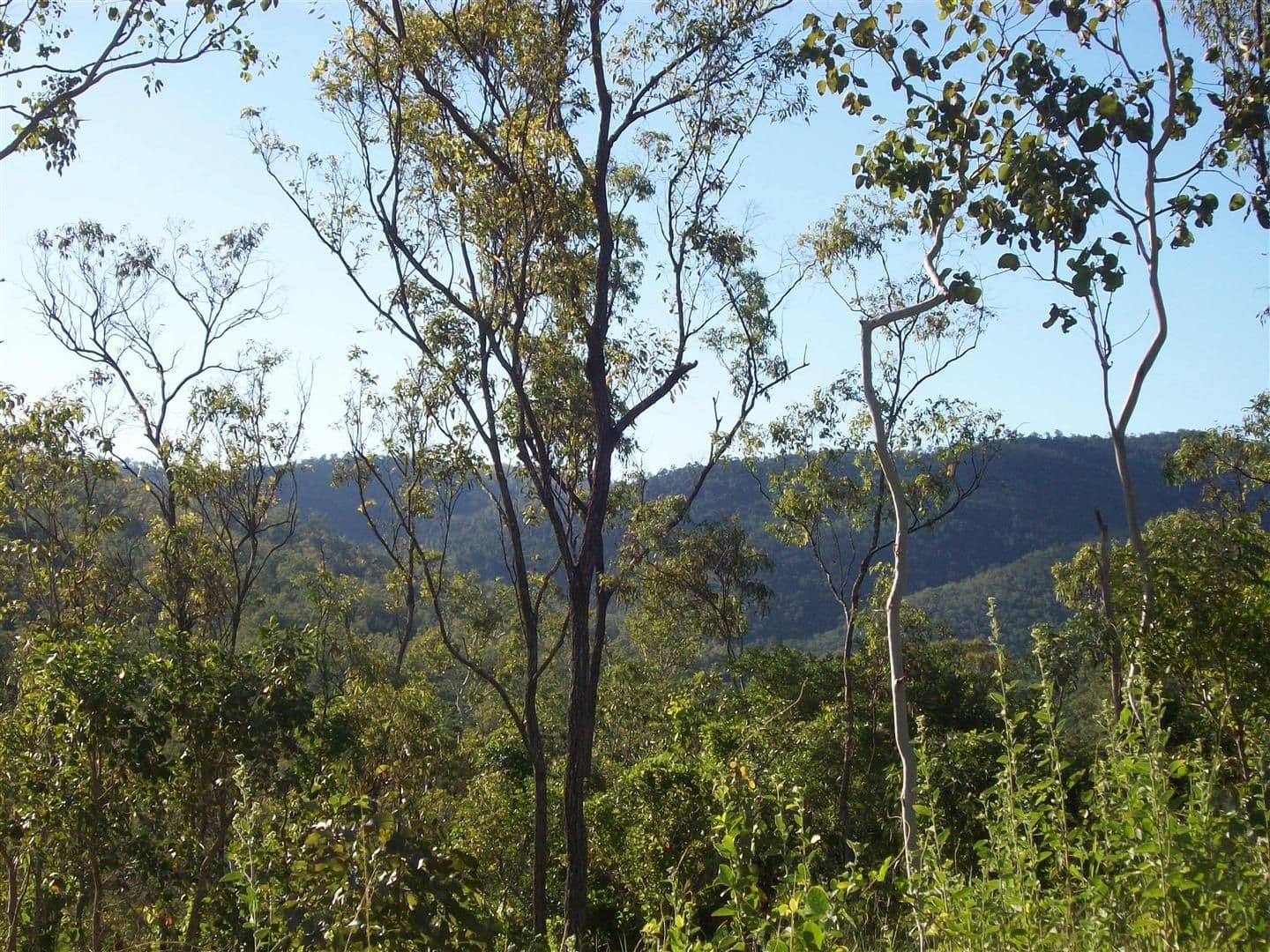 Lot 25 Sam Hill Drive, WOODWARK QLD 4802, Woodwark - Thumbnail 4