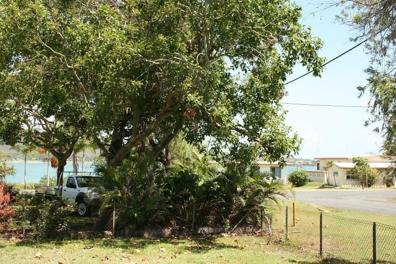4 Westcott Avenue, GRASSTREE BEACH QLD 4740, Grasstree Beach - Thumbnail 4