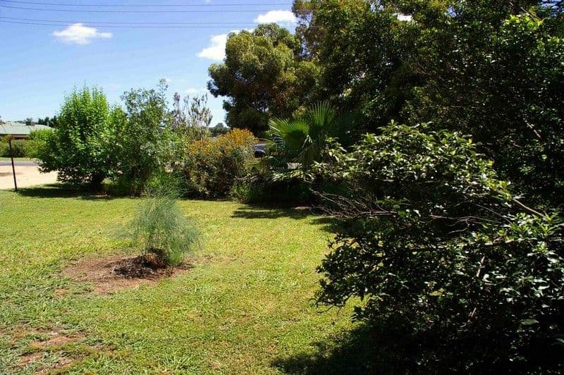 291 Ontario Street, RENMARK SA 5341, Renmark West - Thumbnail 8