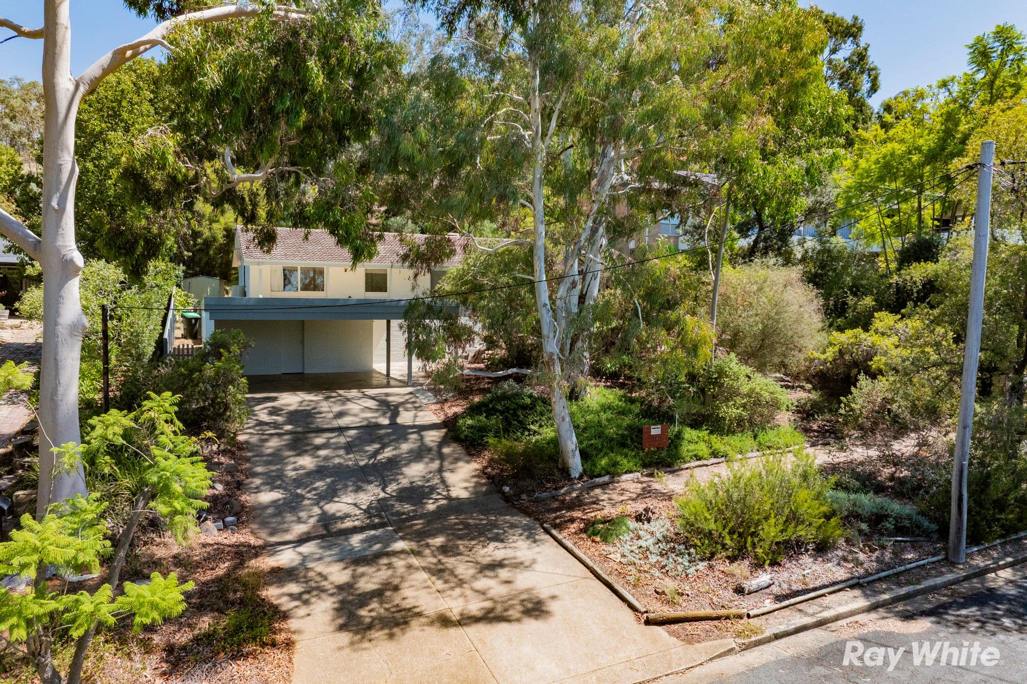 26 Bellevue Parade, Kooringal NSW 2650, Kooringal - Image 1