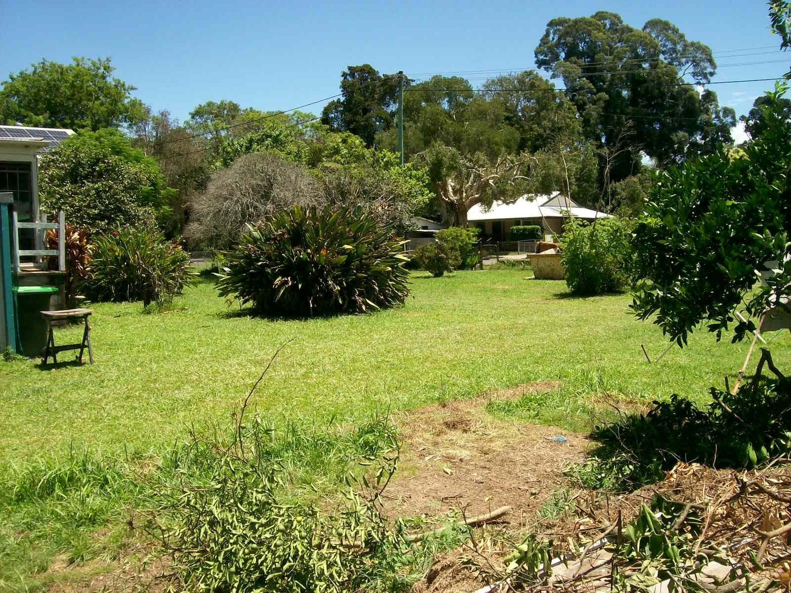 31 Hammond Street, Bellingen NSW 2454, Bellingen - Thumbnail 2