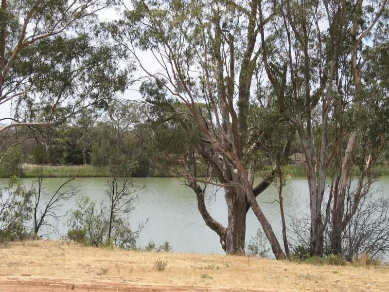 1 Fenwick Road, BERRI SA 5343, Berri - Thumbnail 4