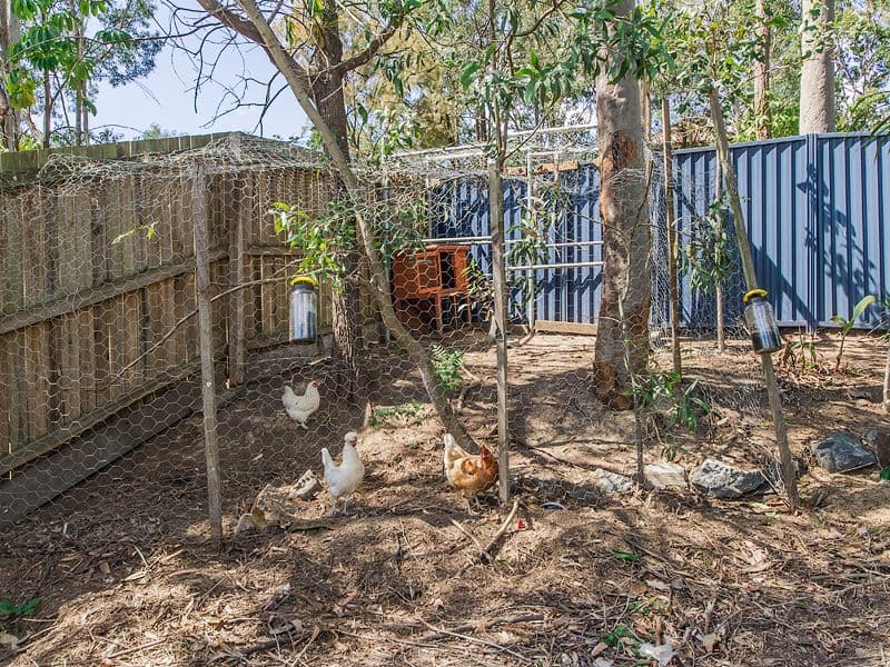 45A Helensvale Road, Helensvale QLD 4212, Helensvale - Thumbnail 6