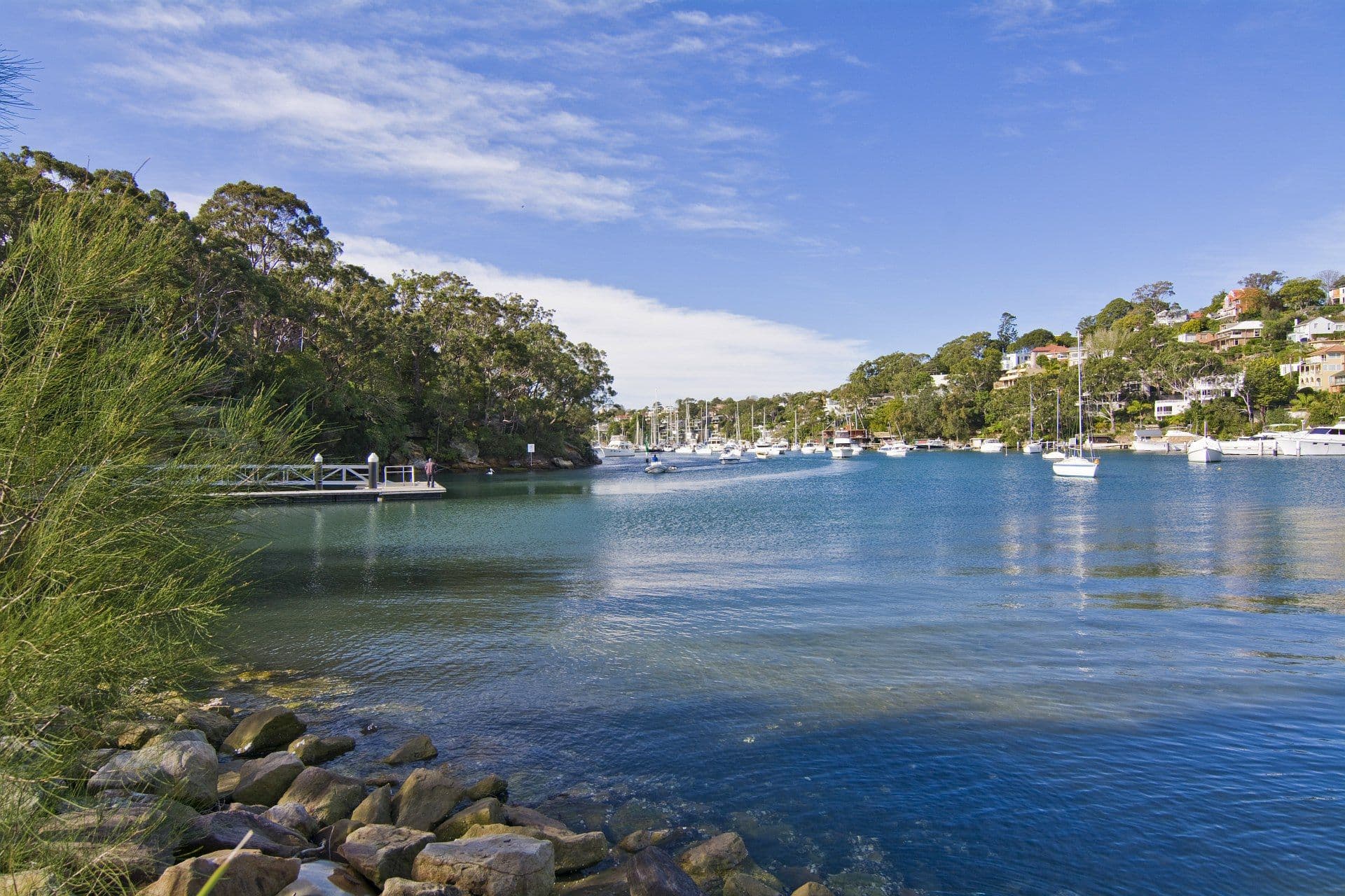 9 Cowdroy Avenue, Cammeray NSW 2062, Cammeray - Thumbnail 8