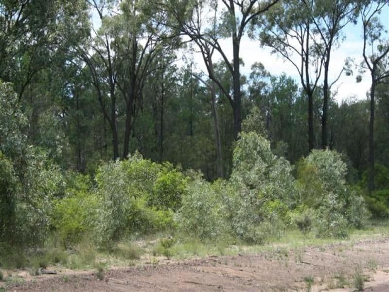 Lot 205 Males Drive, TARA QLD 4421, Tara - Image 1