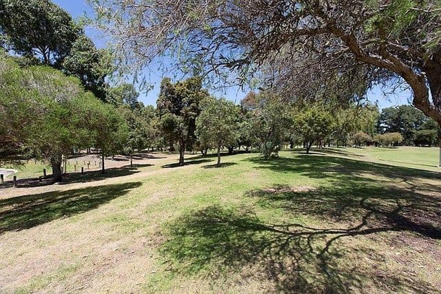 143 Fourth Avenue, Mount Lawley WA 6050, Mount Lawley - Thumbnail 4
