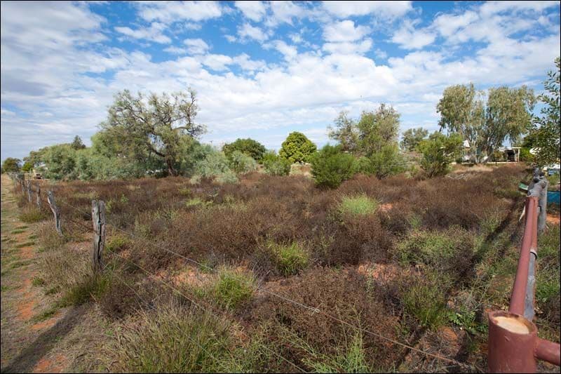 18 Cecil Street, WINDORAH QLD 4481, Windorah - Thumbnail 2