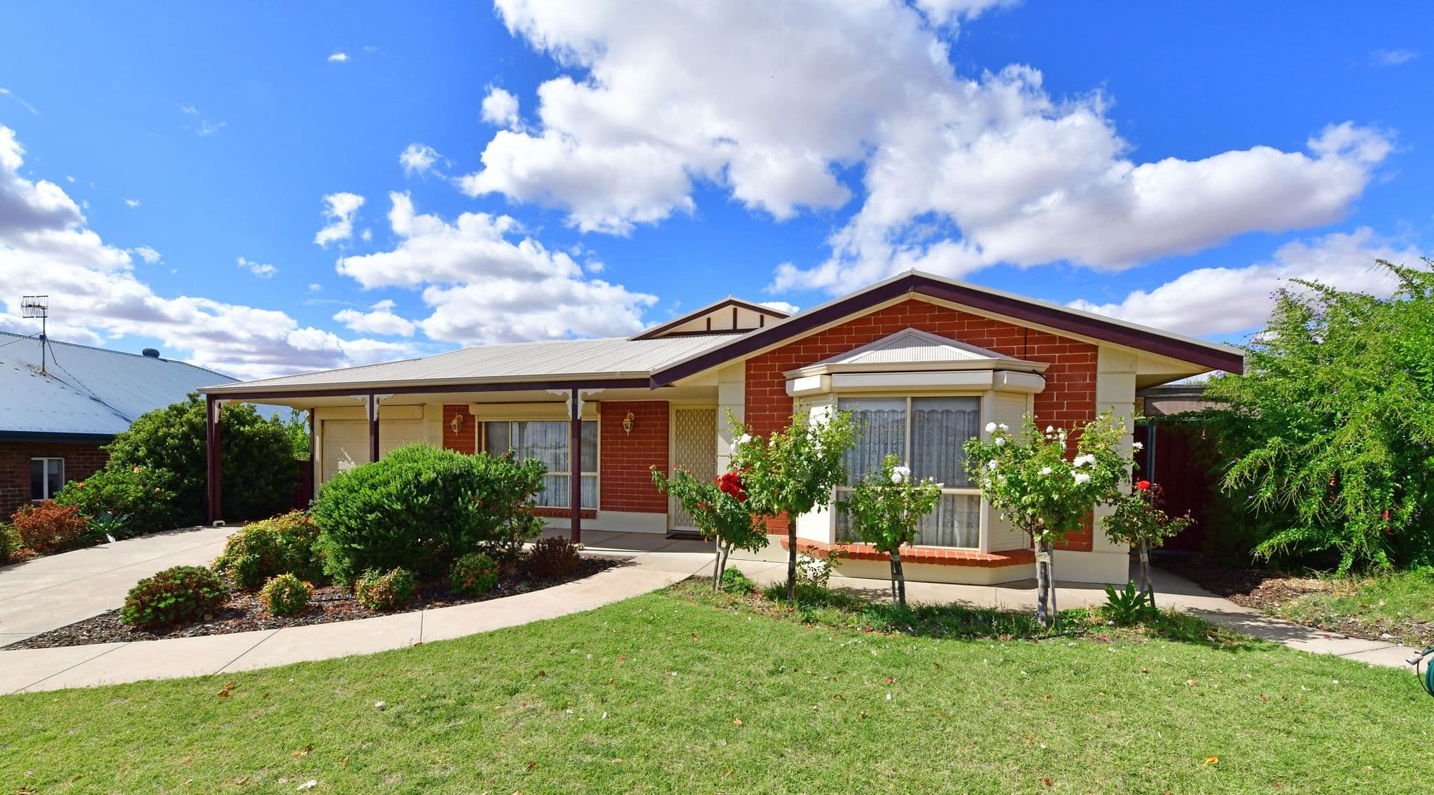 16 Mary Starr Drive, Waikerie SA 5330, Waikerie - Image 1