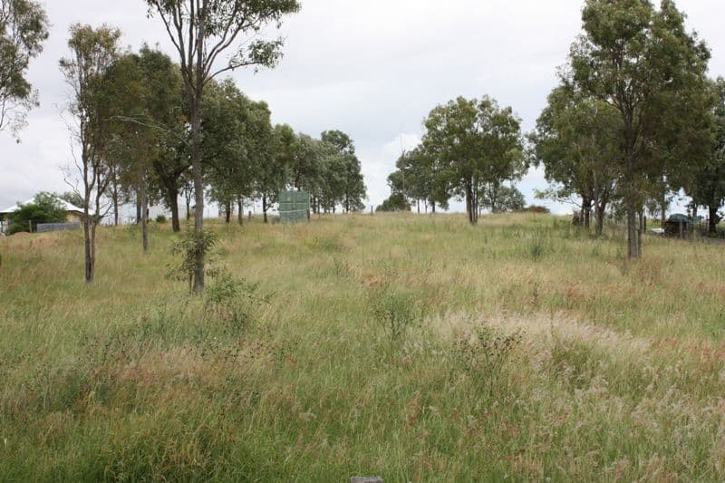 13 McConnel Street, BRAEMORE QLD 4313, Braemore - Thumbnail 4