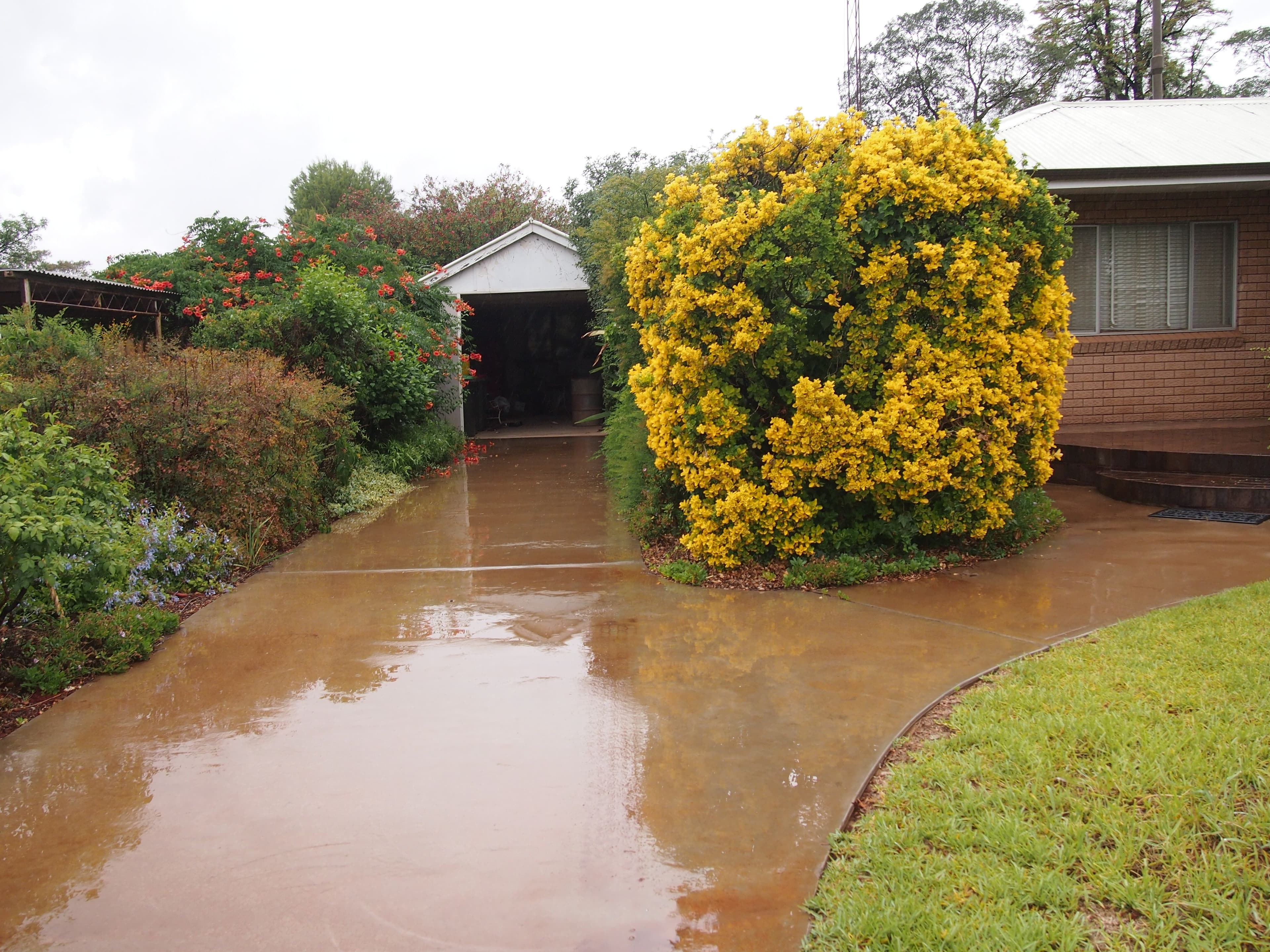 112 Orange Street, Condobolin - Image 1