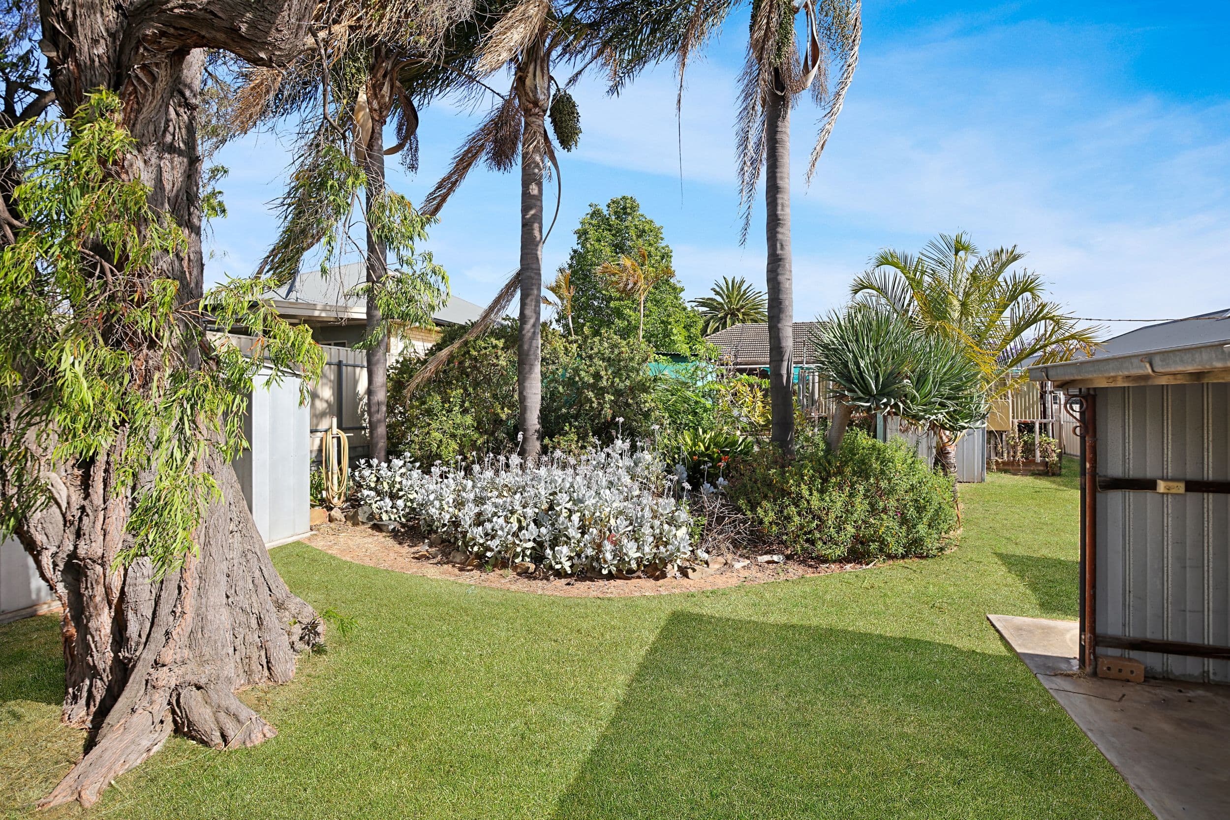 63 Dumfries Avenue, Seaton SA 5023, Seaton - Thumbnail 5