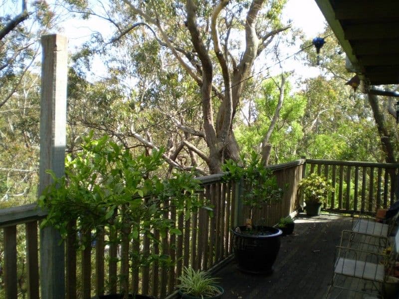 KATOOMBA NSW 2780, Katoomba - Thumbnail 6