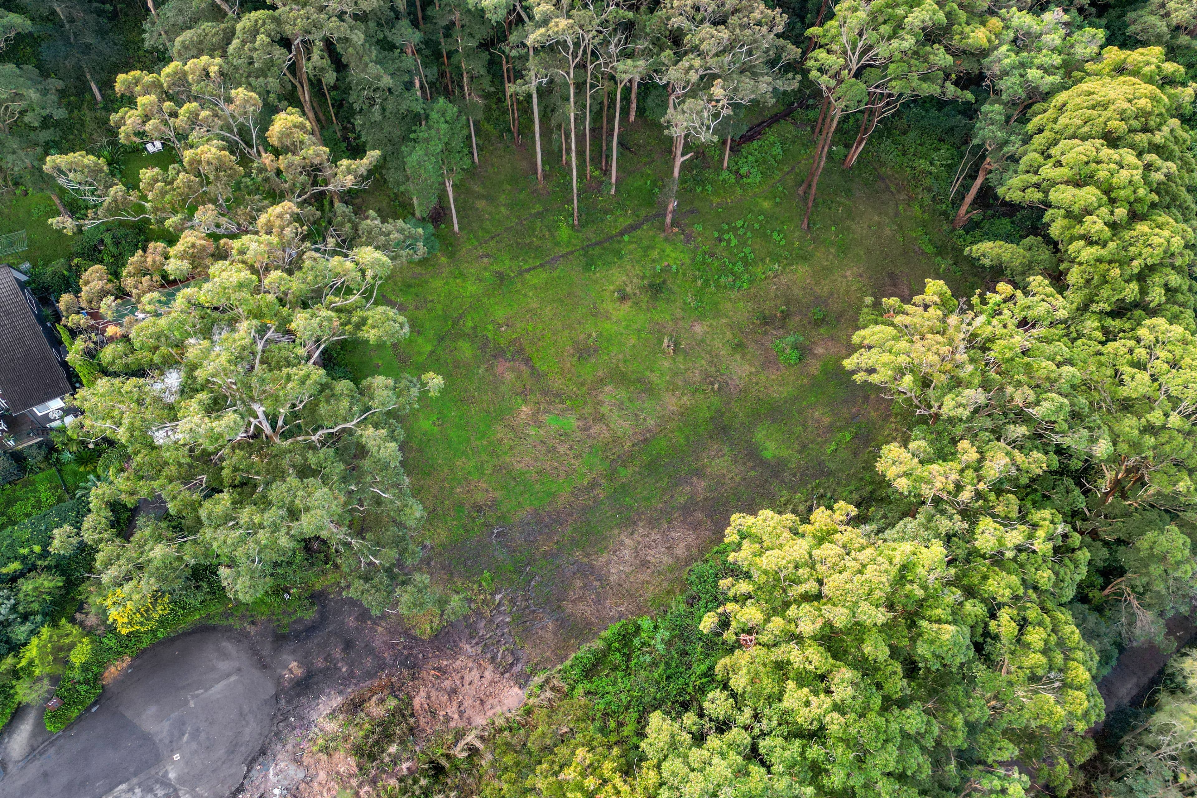 156 Broadwater Drive, Saratoga NSW 2251, Saratoga - Thumbnail 3