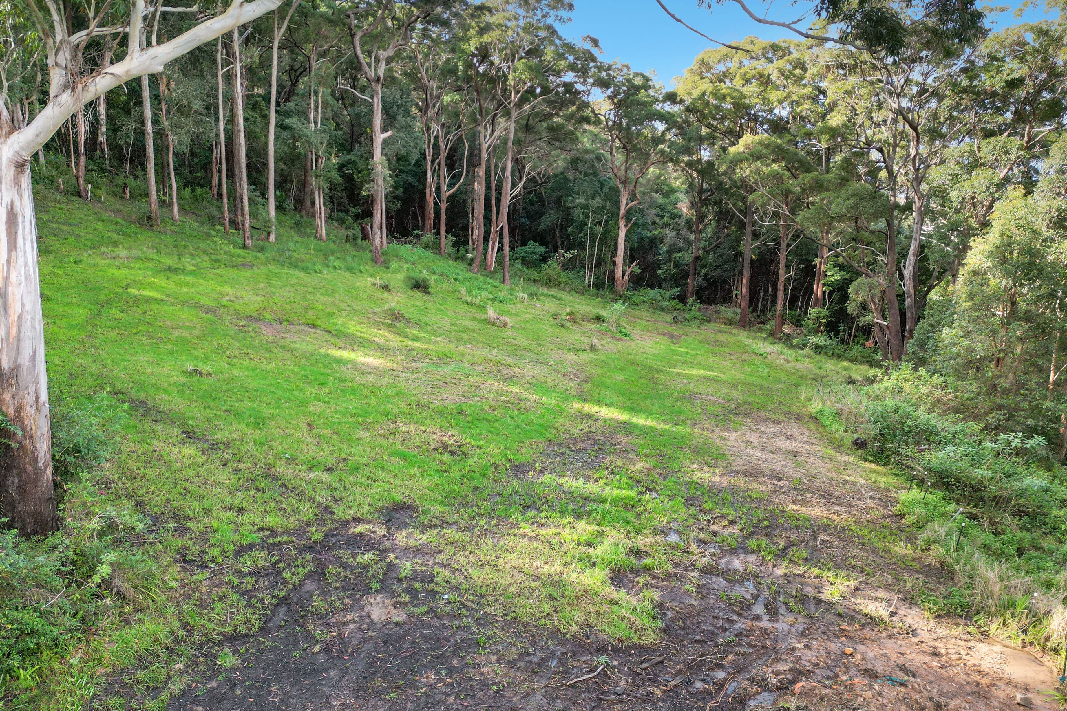 156 Broadwater Drive, Saratoga NSW 2251, Saratoga - Thumbnail 4