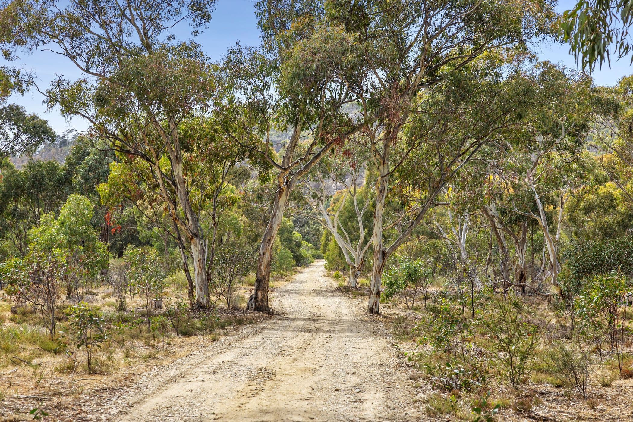 21 Bunjils Cave Road, BLACK RANGE VIC 3381, Black Range - Thumbnail 2