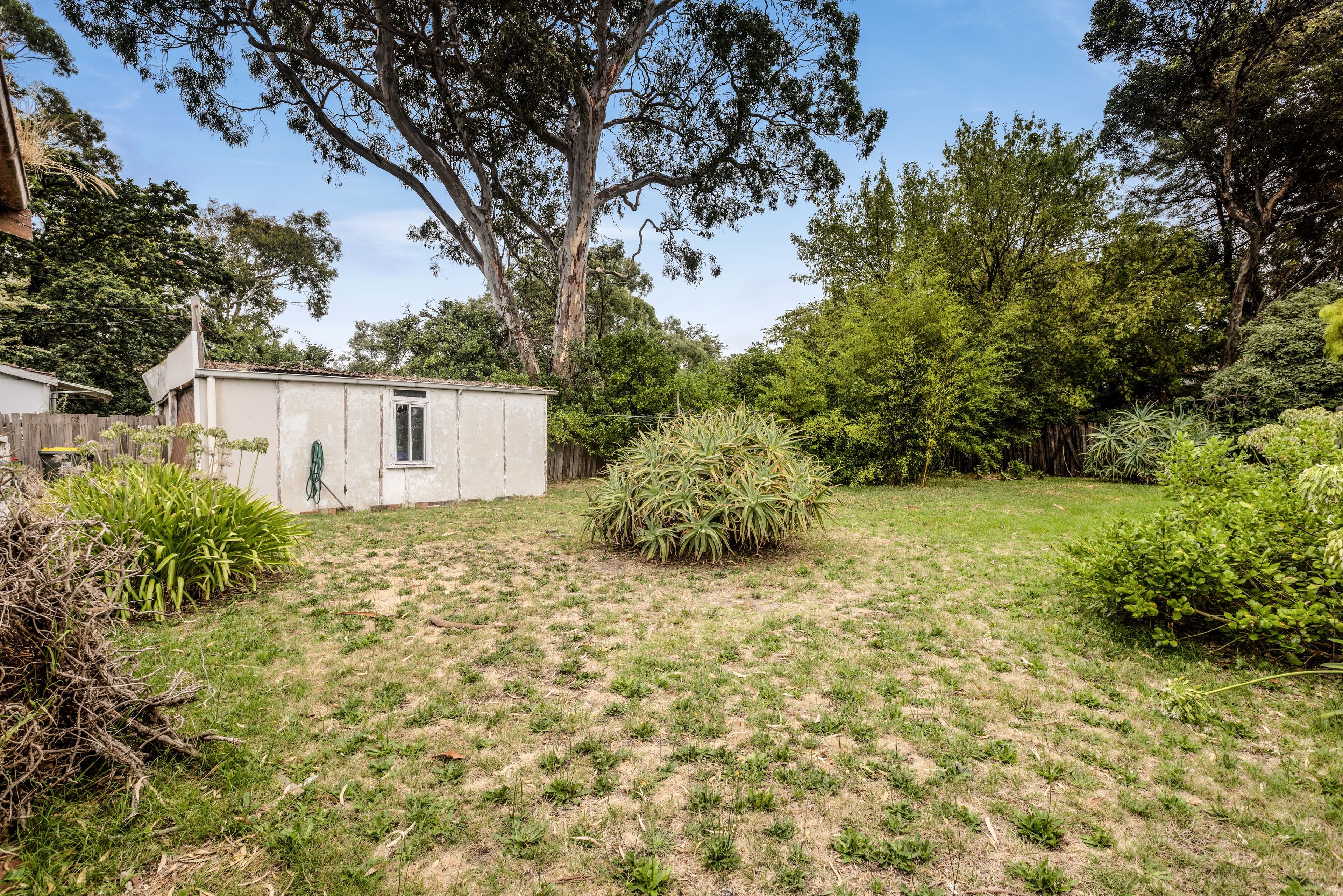 31 Omama Road, Murrumbeena VIC 3163, Murrumbeena - Thumbnail 2