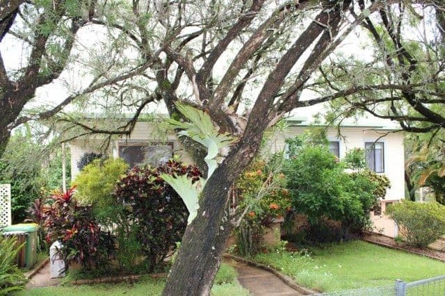 85 Uralba Street, LISMORE NSW 2480, Lismore - Thumbnail 4