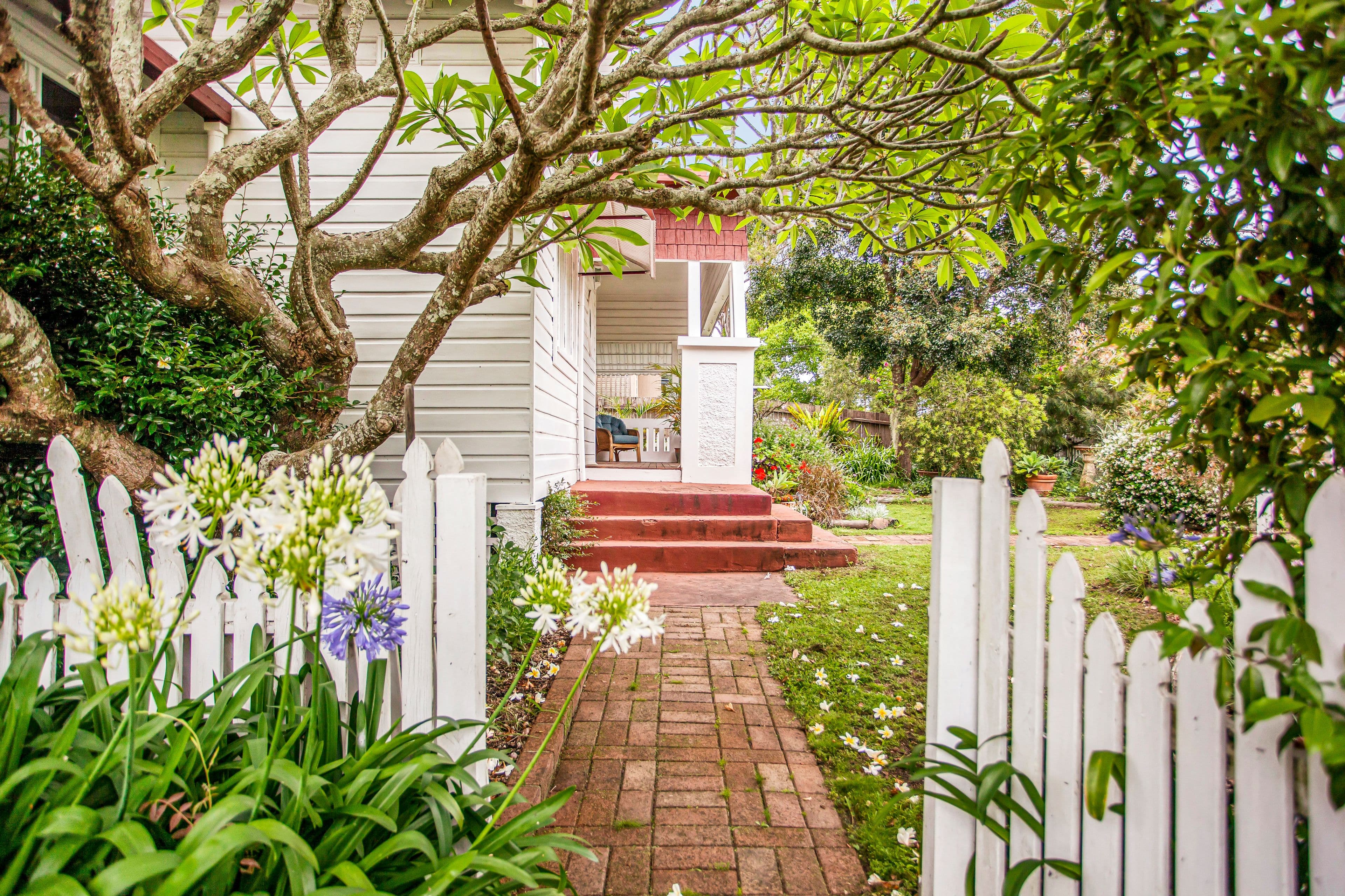 8 Alban Street, Taree NSW 2430, Taree - Thumbnail 6