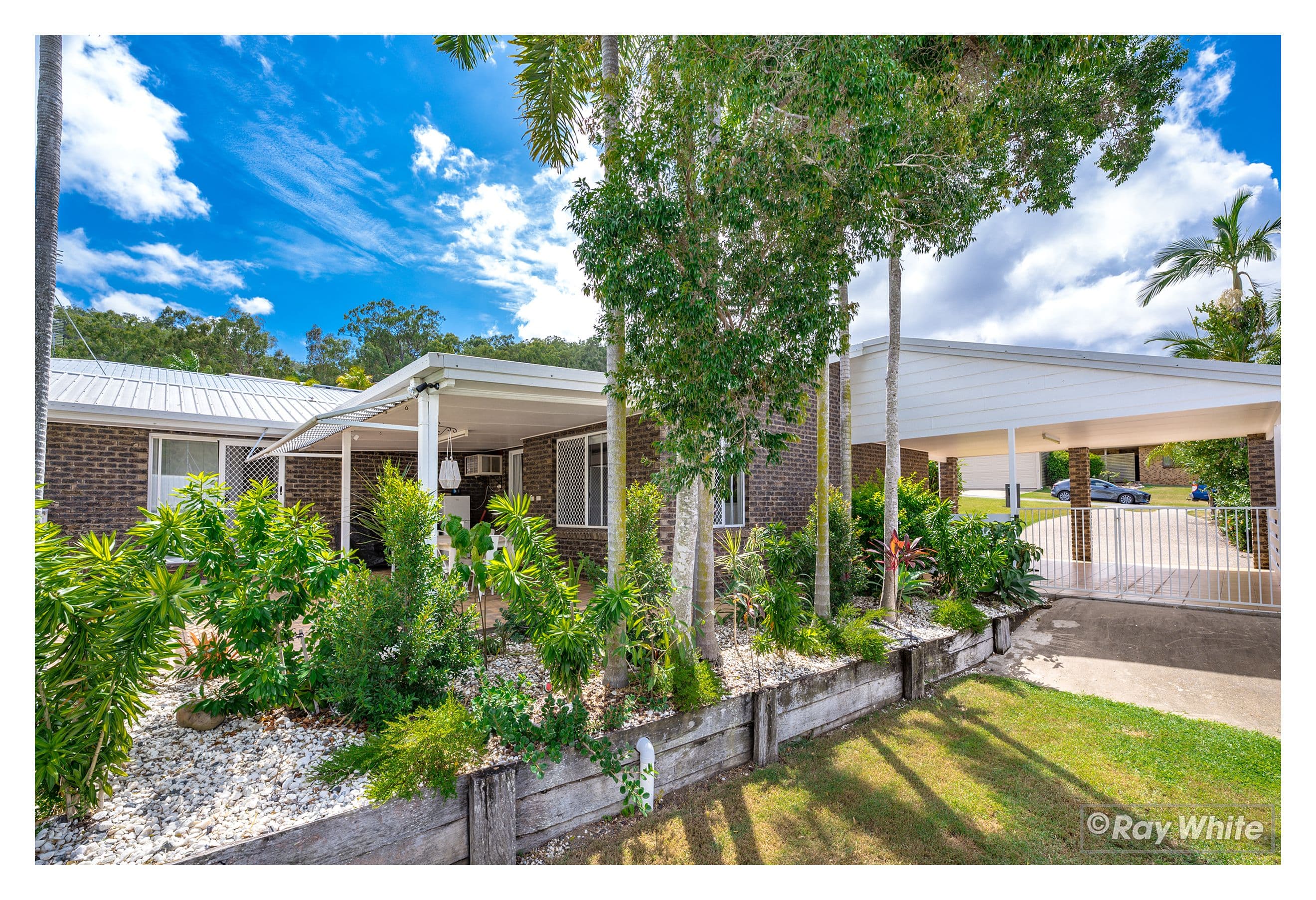13 Jard Street, Frenchville QLD 4701, Frenchville - Thumbnail 2