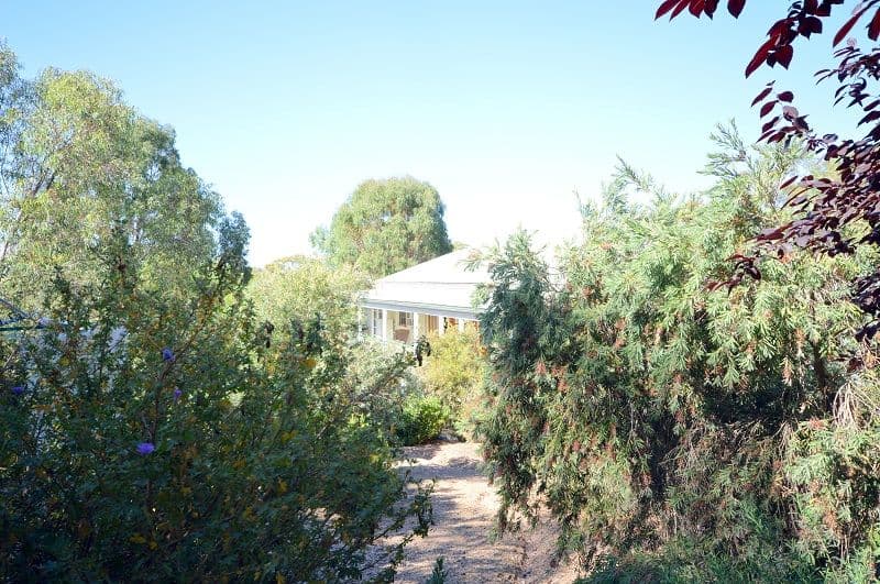 308 Camp Road, Cowra - Thumbnail 8