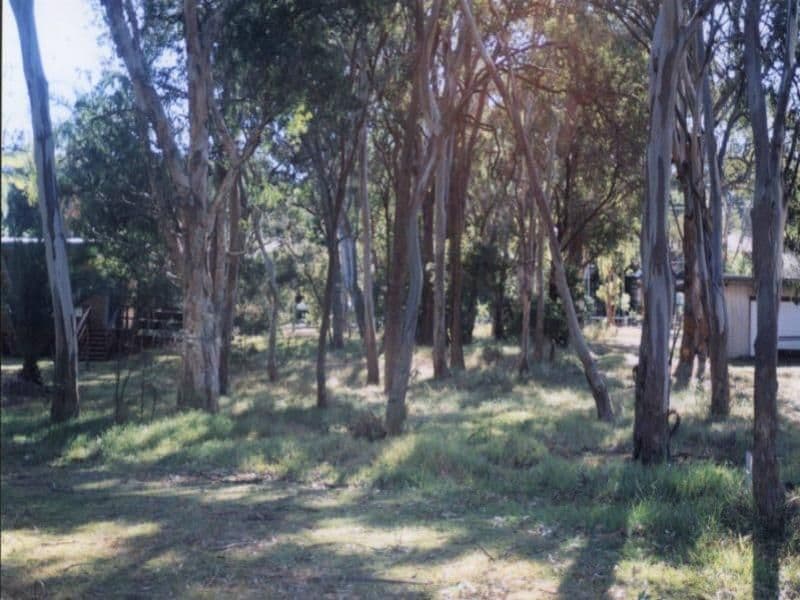 119 Dandaraga Road, BRIGHTWATERS NSW 2264, Brightwaters - Thumbnail 5