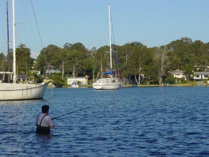 119 Dandaraga Road, BRIGHTWATERS NSW 2264, Brightwaters - Thumbnail 6