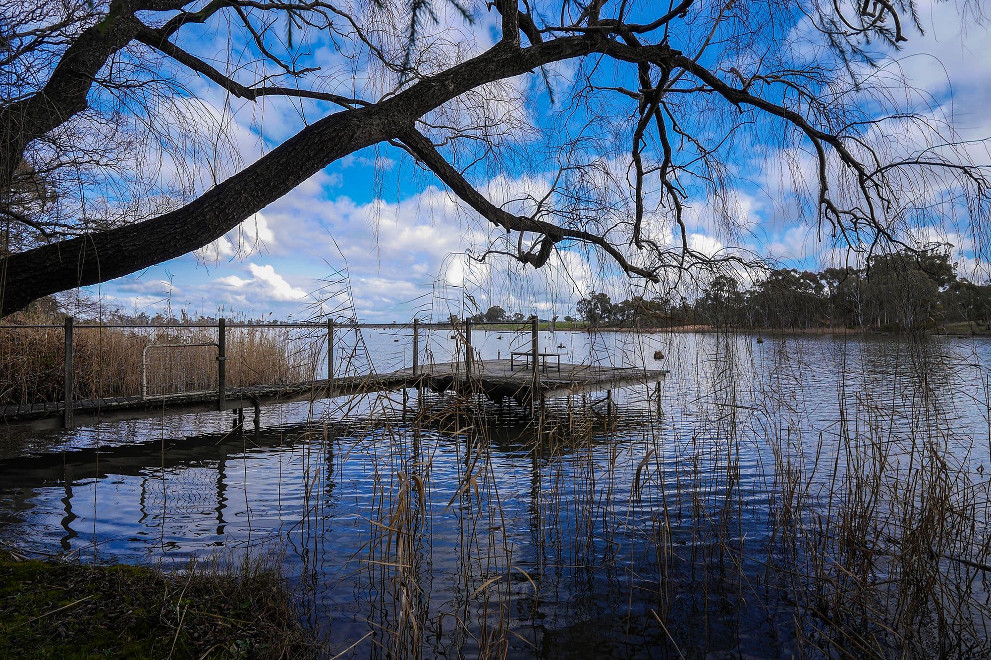 24 Baxters Road, Nagambie VIC 3608, Nagambie - Thumbnail 4