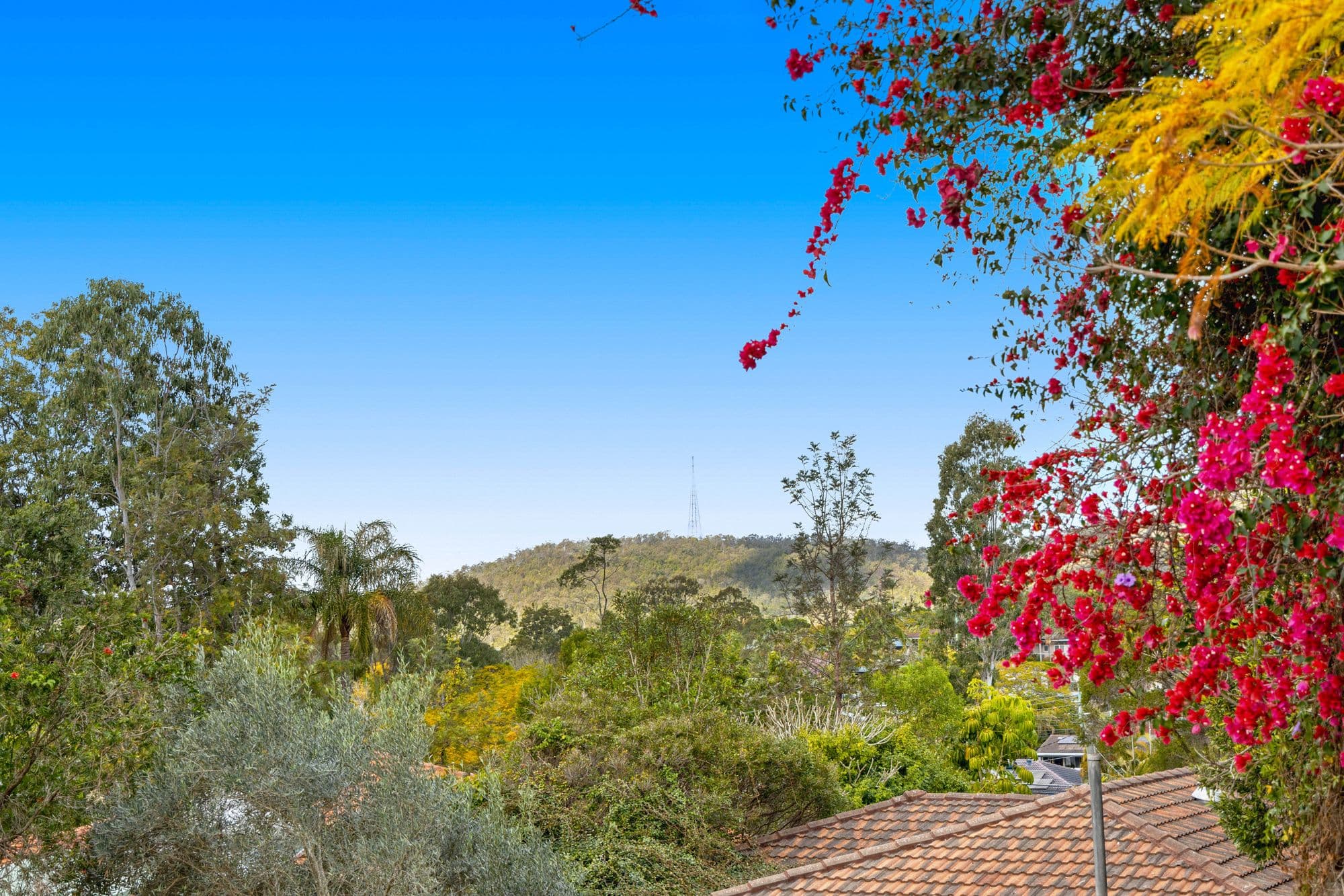 1296 Waterworks Road, The Gap QLD 4061, The Gap - Thumbnail 3