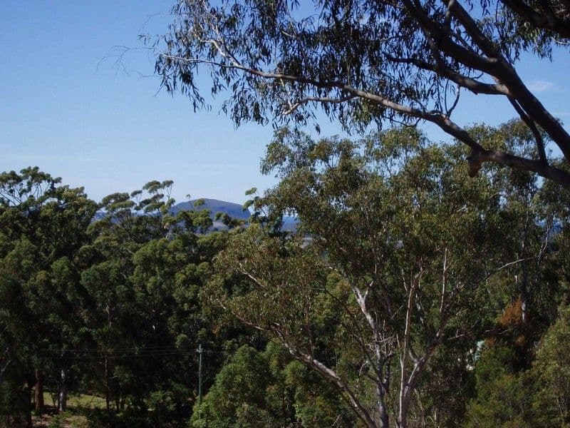 12 GALLERY Drive, BLI BLI QLD 4560, Bli Bli - Thumbnail 2