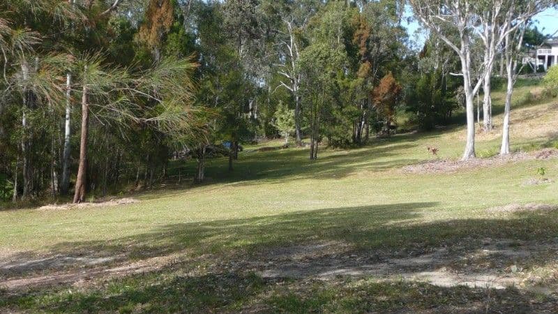 12 GALLERY Drive, BLI BLI QLD 4560, Bli Bli - Thumbnail 4