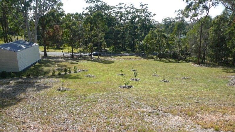 12 GALLERY Drive, BLI BLI QLD 4560, Bli Bli - Thumbnail 7