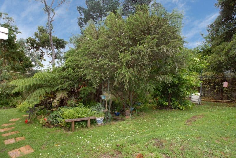 46 Conyers Street, THE BASIN VIC 3154, The Basin - Thumbnail 4