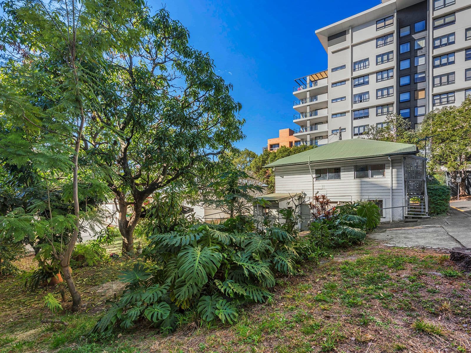 87 Birley Street, Spring Hill QLD 4000, Spring Hill - Thumbnail 7