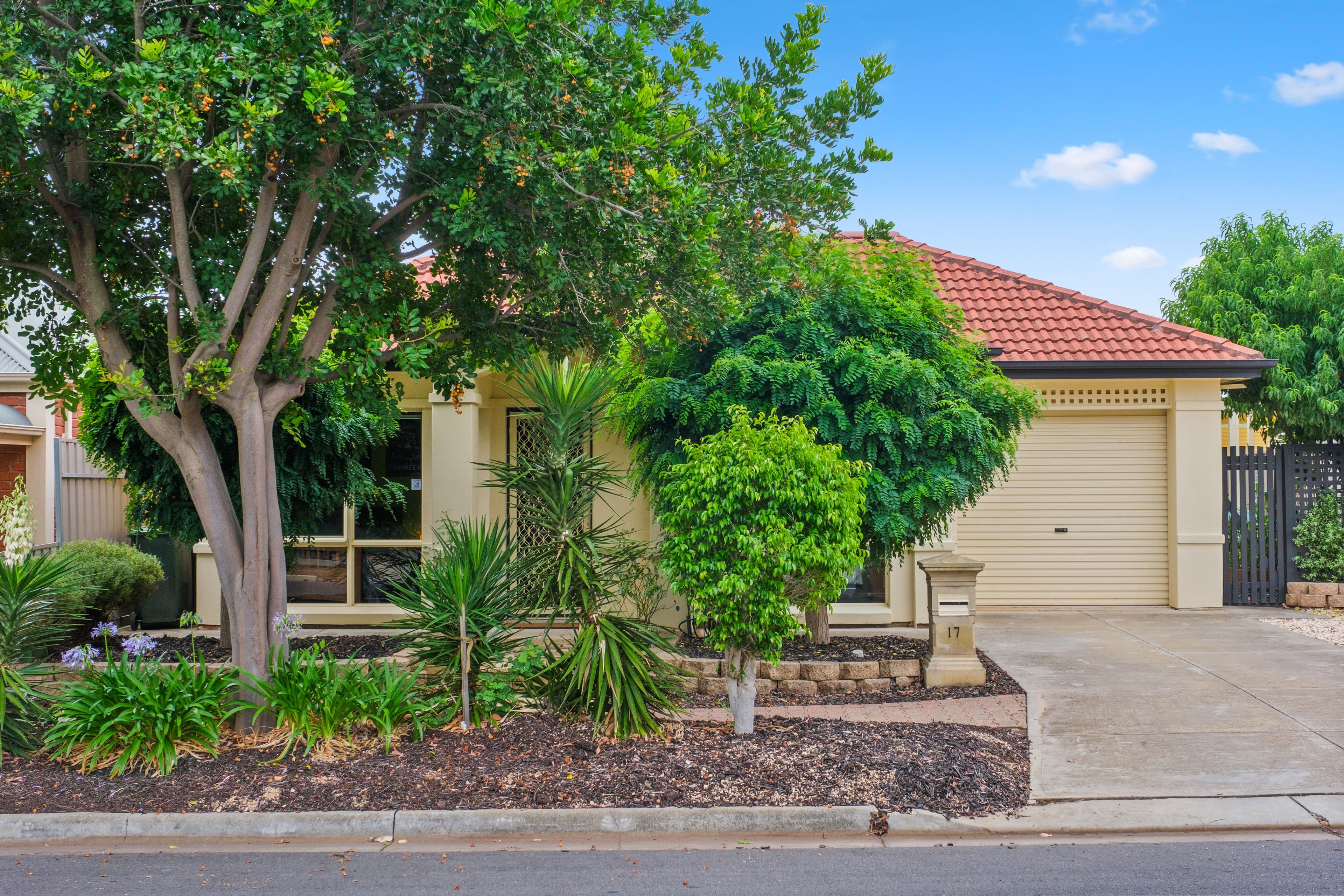 17 Lanark Avenue, Mitchell Park SA 5043, Mitchell Park - Image 1