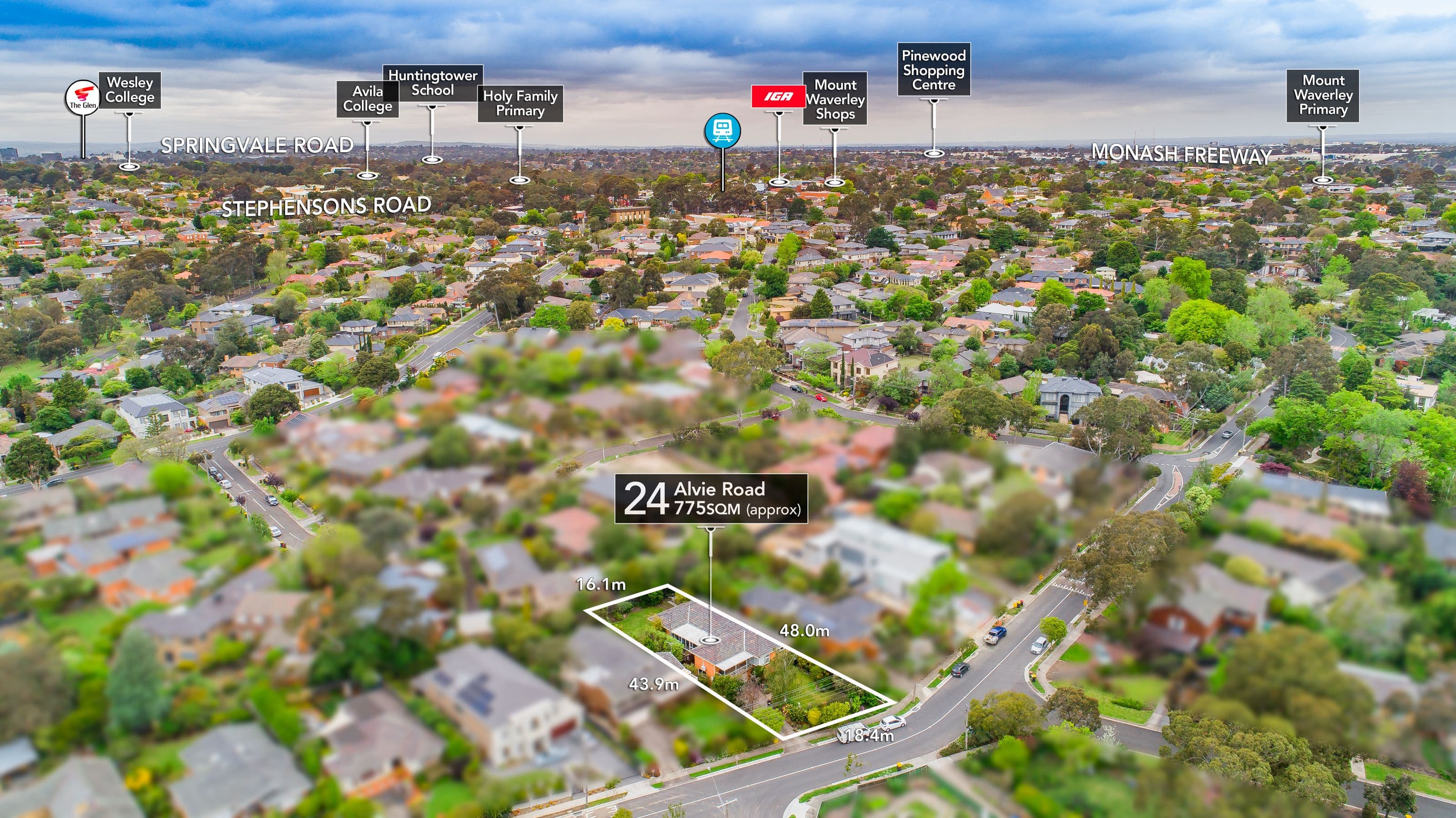 24 Alvie Road, Mount Waverley VIC 3149, Mount Waverley - Thumbnail 2