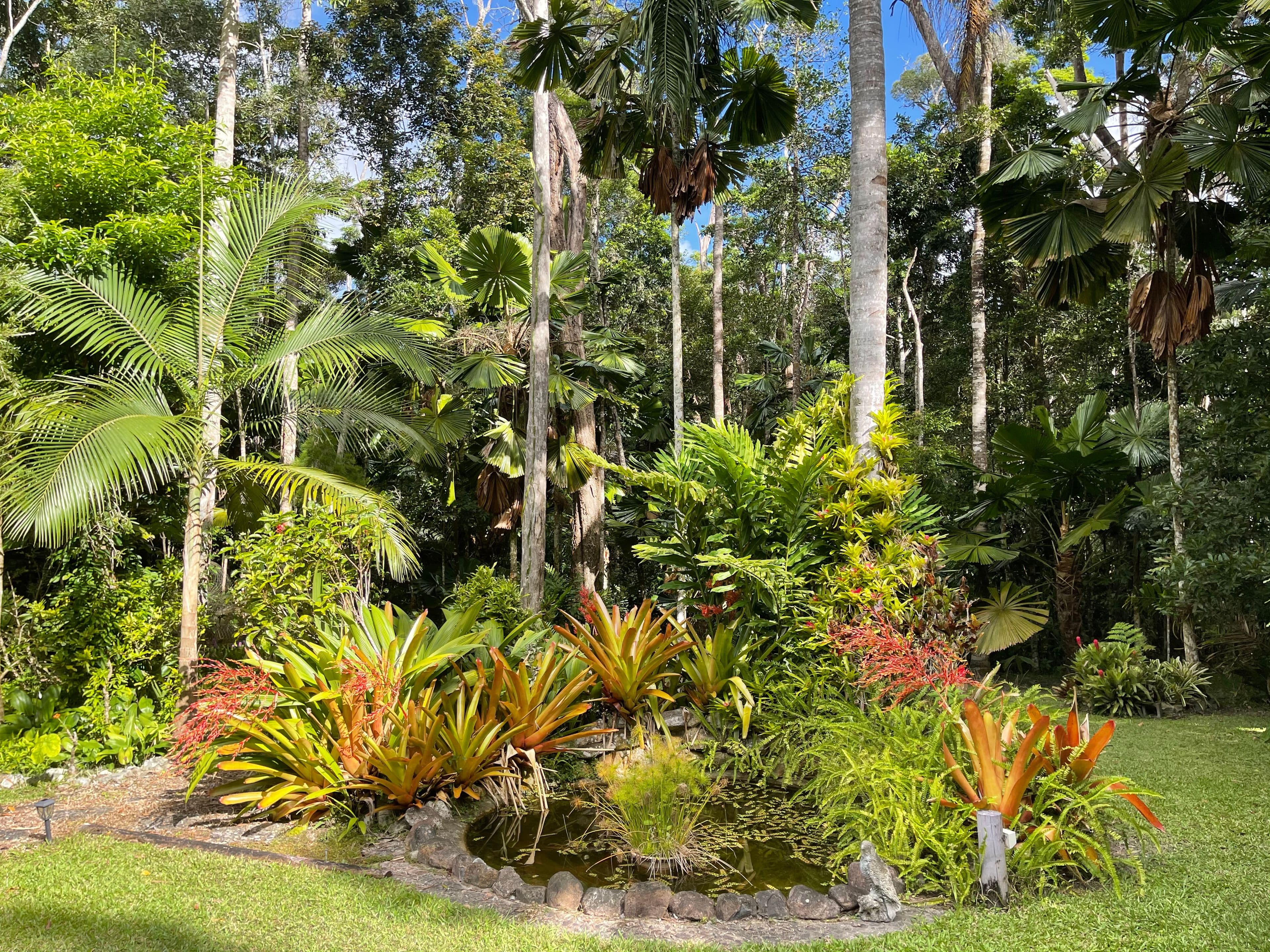 32 Gregory Terrace, Kuranda QLD 4881, Kuranda - Thumbnail 4