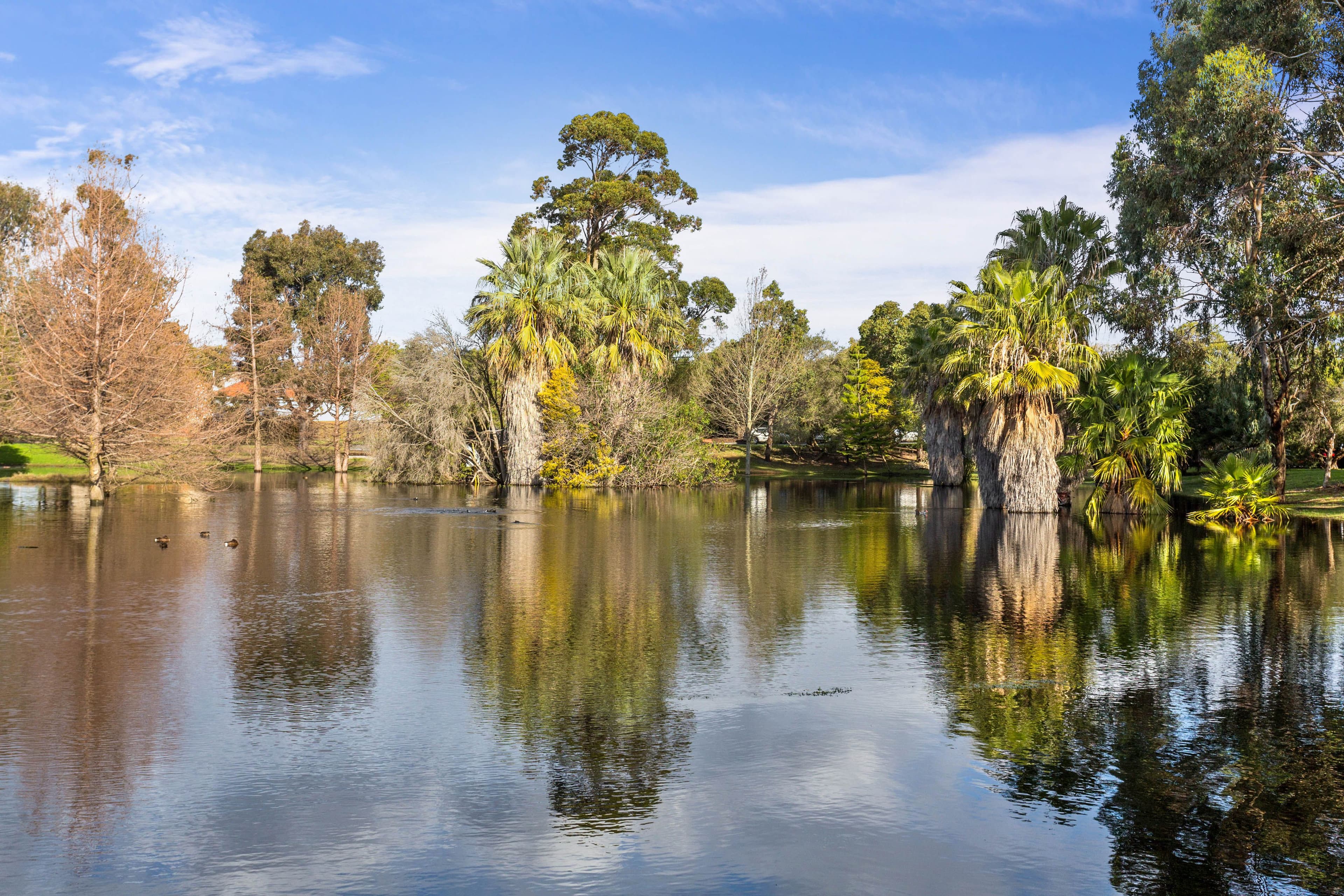 12 Lamb Avenue, Bentley WA 6102, Bentley - Thumbnail 4