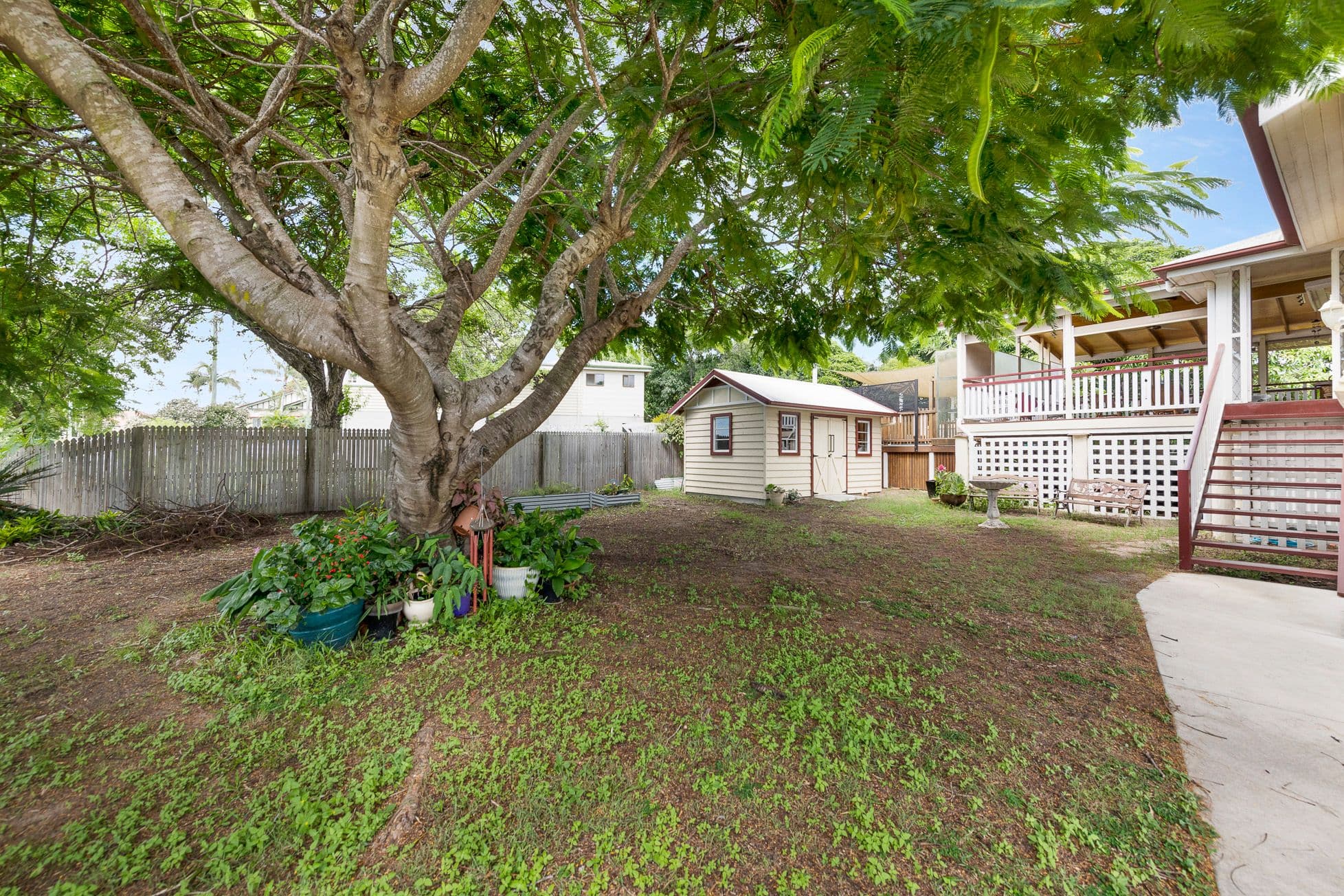53 Mulgrave Street, Bundaberg West QLD 4670, Bundaberg West - Thumbnail 3