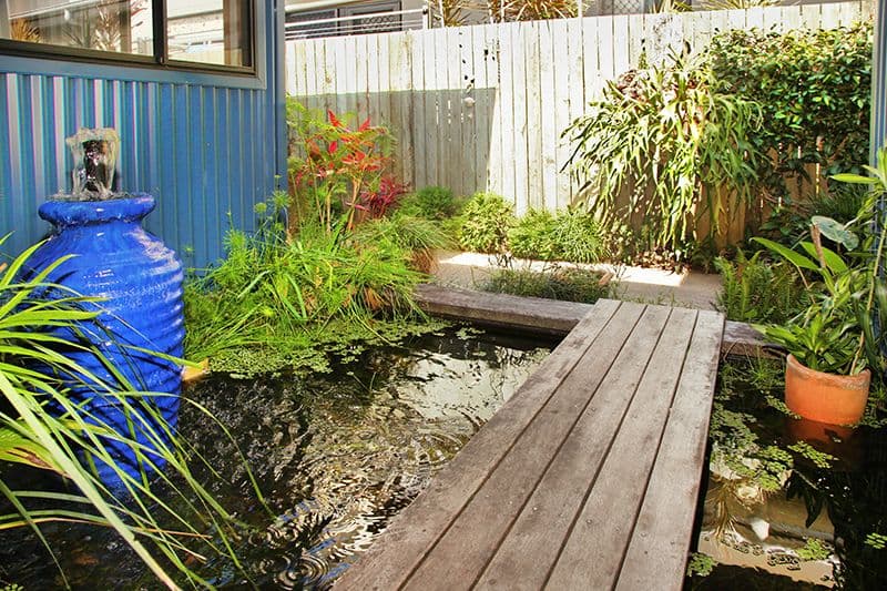 29 Broadwater Avenue, Maroochydore QLD 4558, Maroochydore - Thumbnail 8
