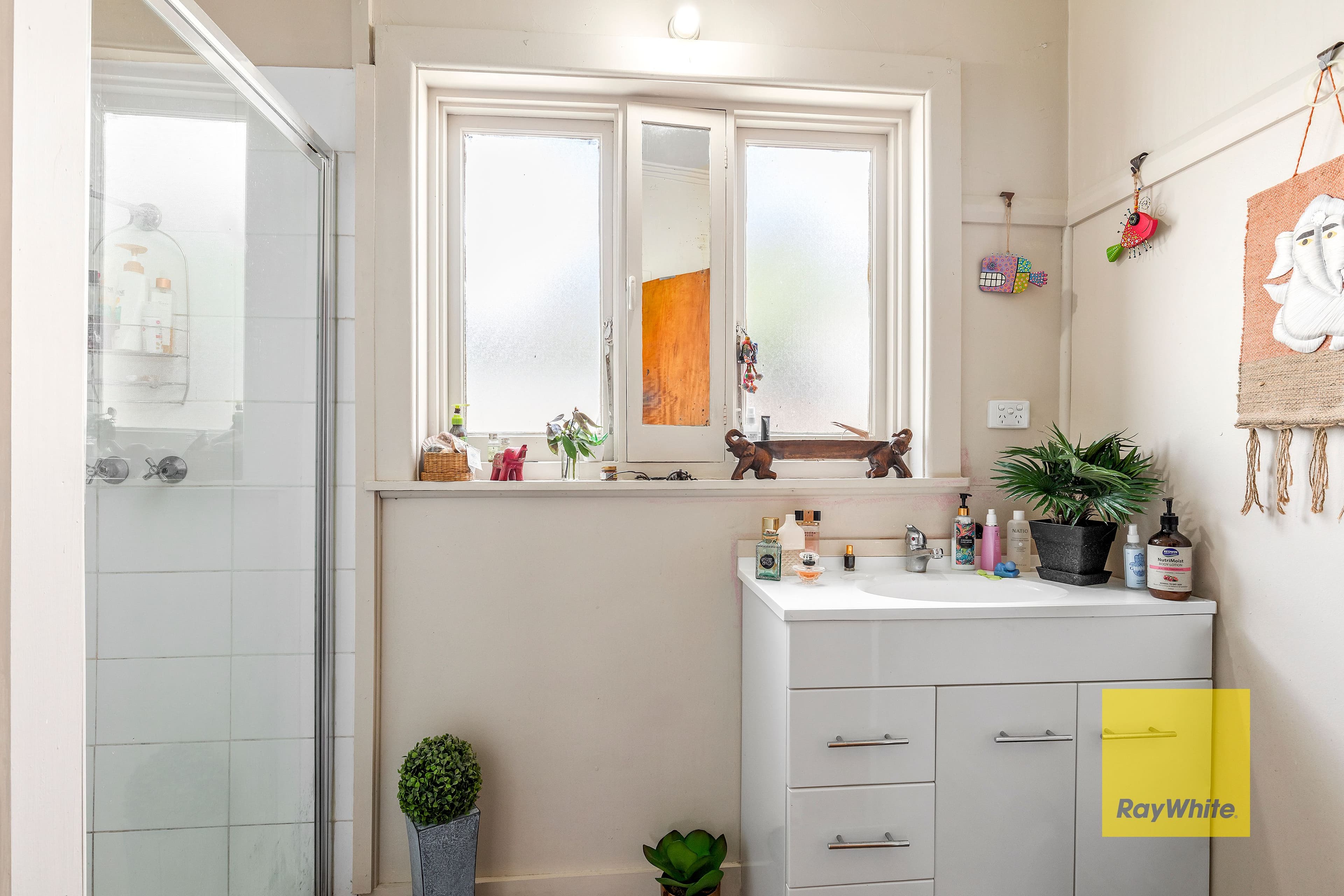 119 Minerva Road, Herne Hill VIC 3218, Herne Hill - Thumbnail 6
