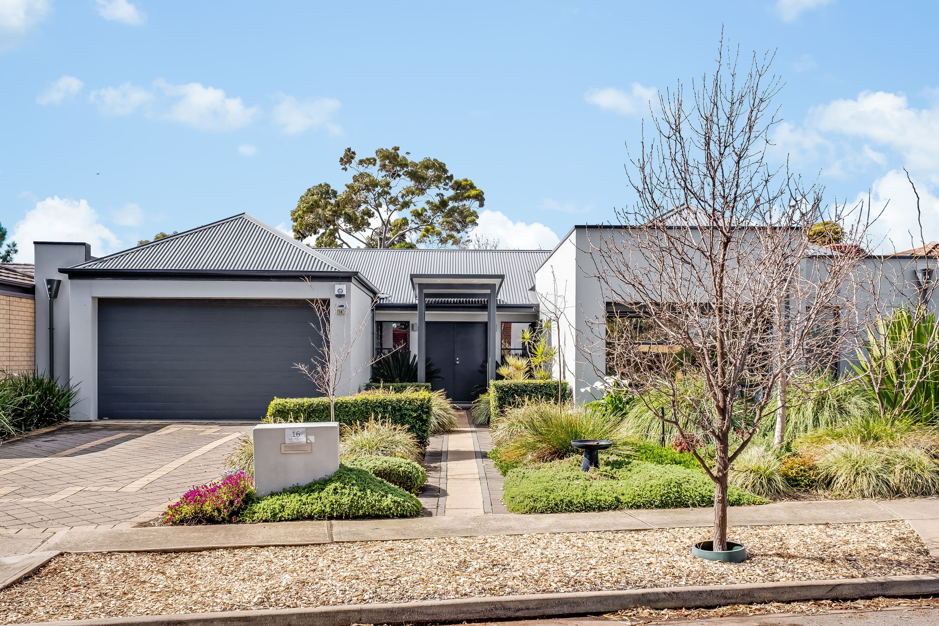 16 Exmoor Avenue, Oaklands Park SA 5046, Oaklands Park - Image 1