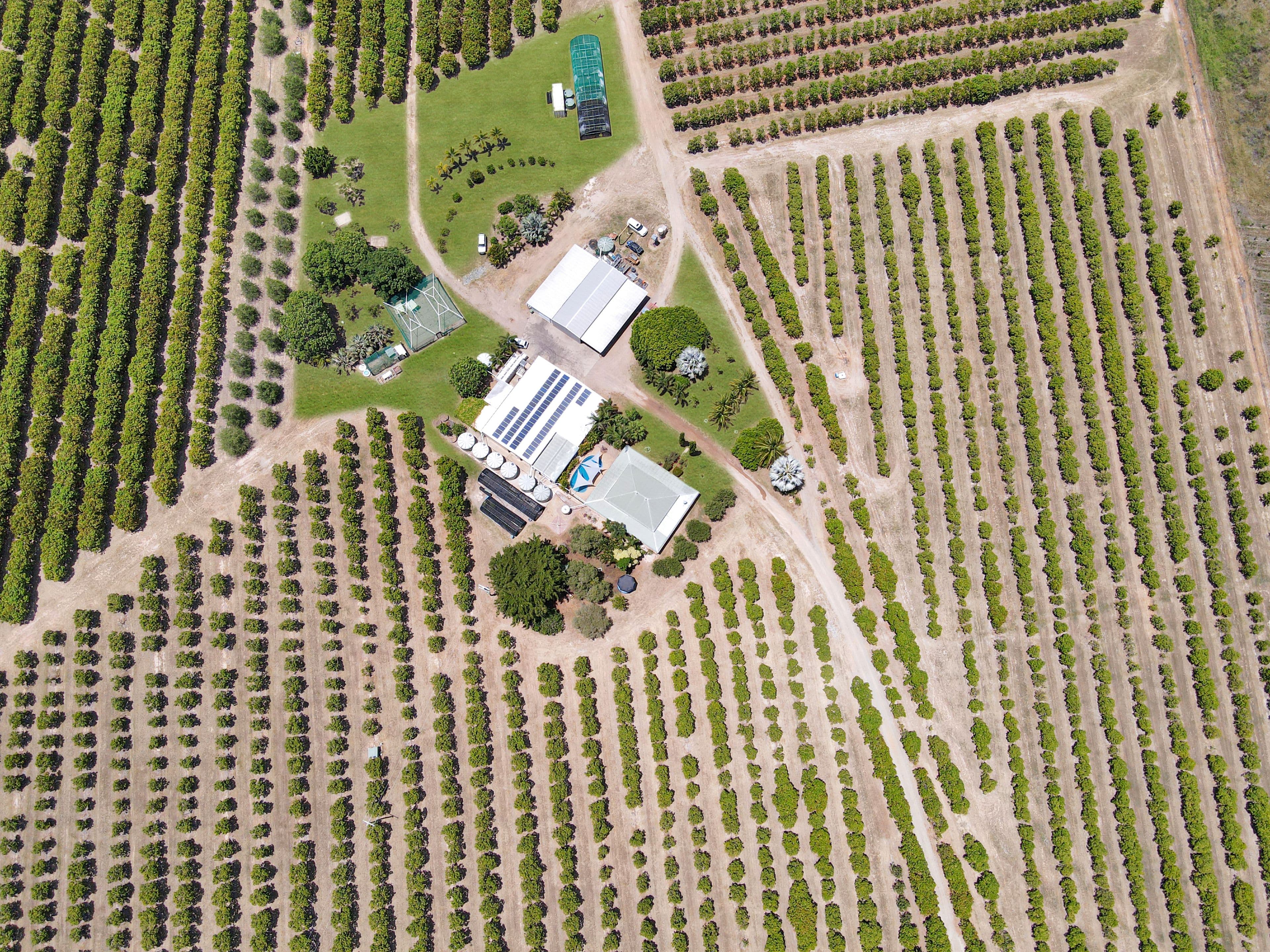 259 Murray Road, Woodstock QLD 4816, Woodstock - Image 1