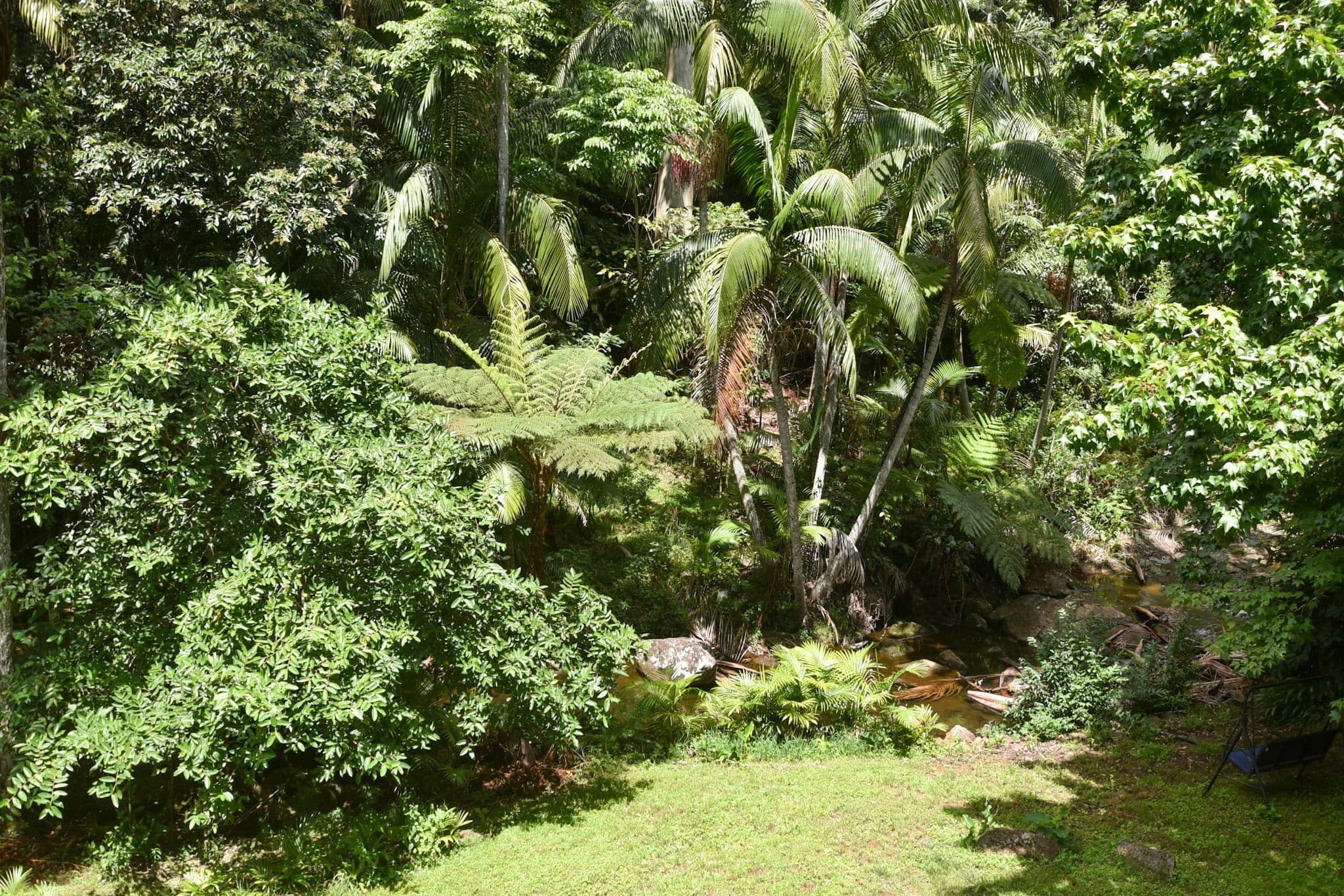 81-83 Geissmann Drive, Tamborine Mountain QLD 4272, Tamborine Mountain - Thumbnail 6