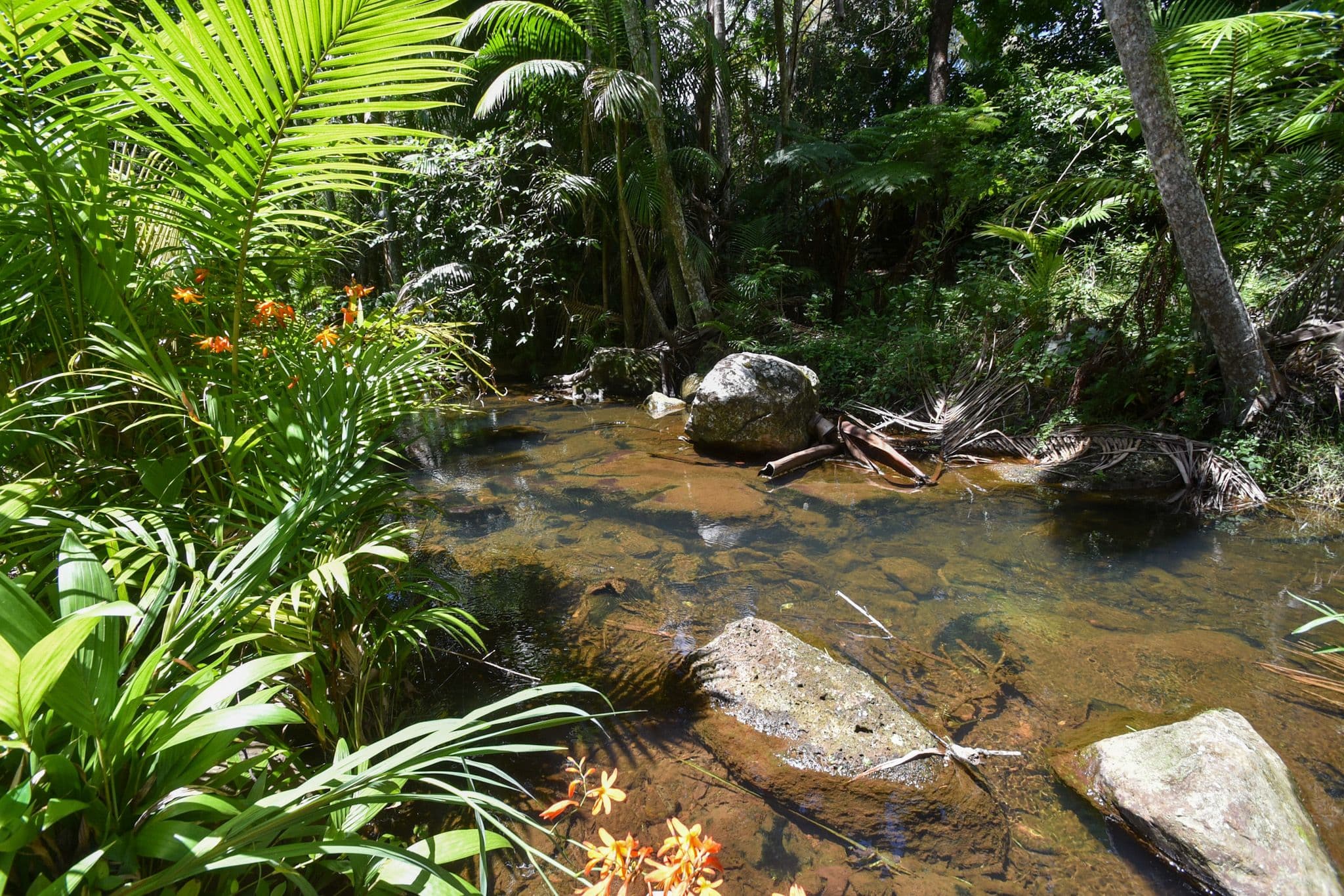 81-83 Geissmann Drive, Tamborine Mountain QLD 4272, Tamborine Mountain - Thumbnail 8